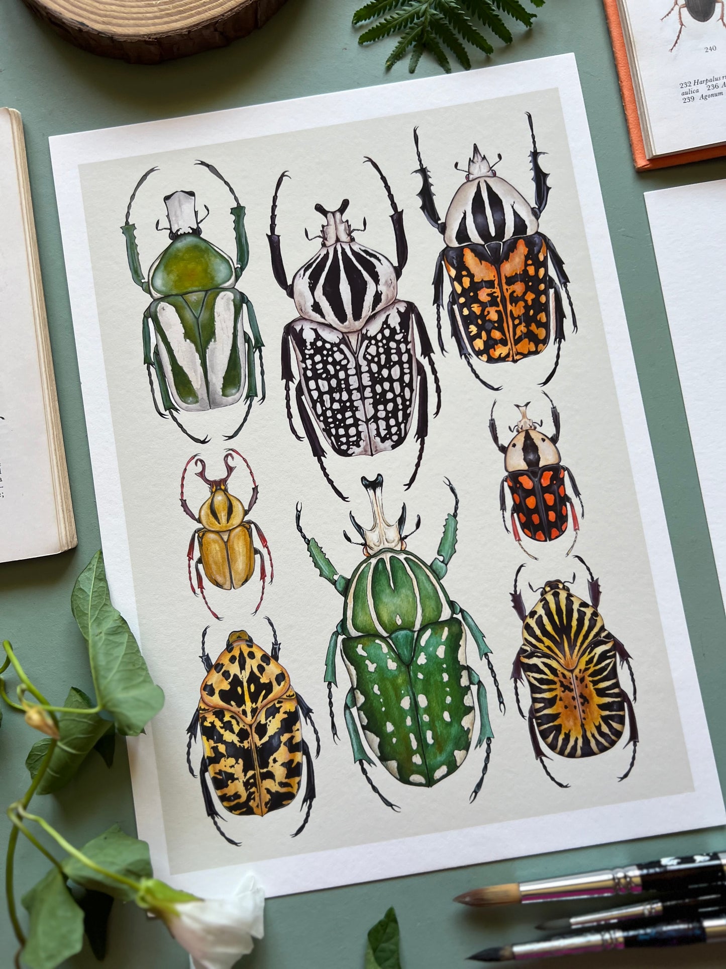Beetles Print