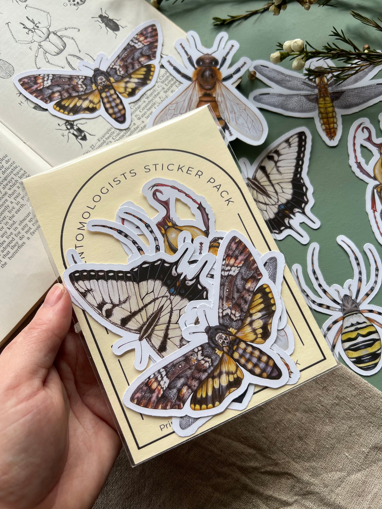Entomology Sticker Set