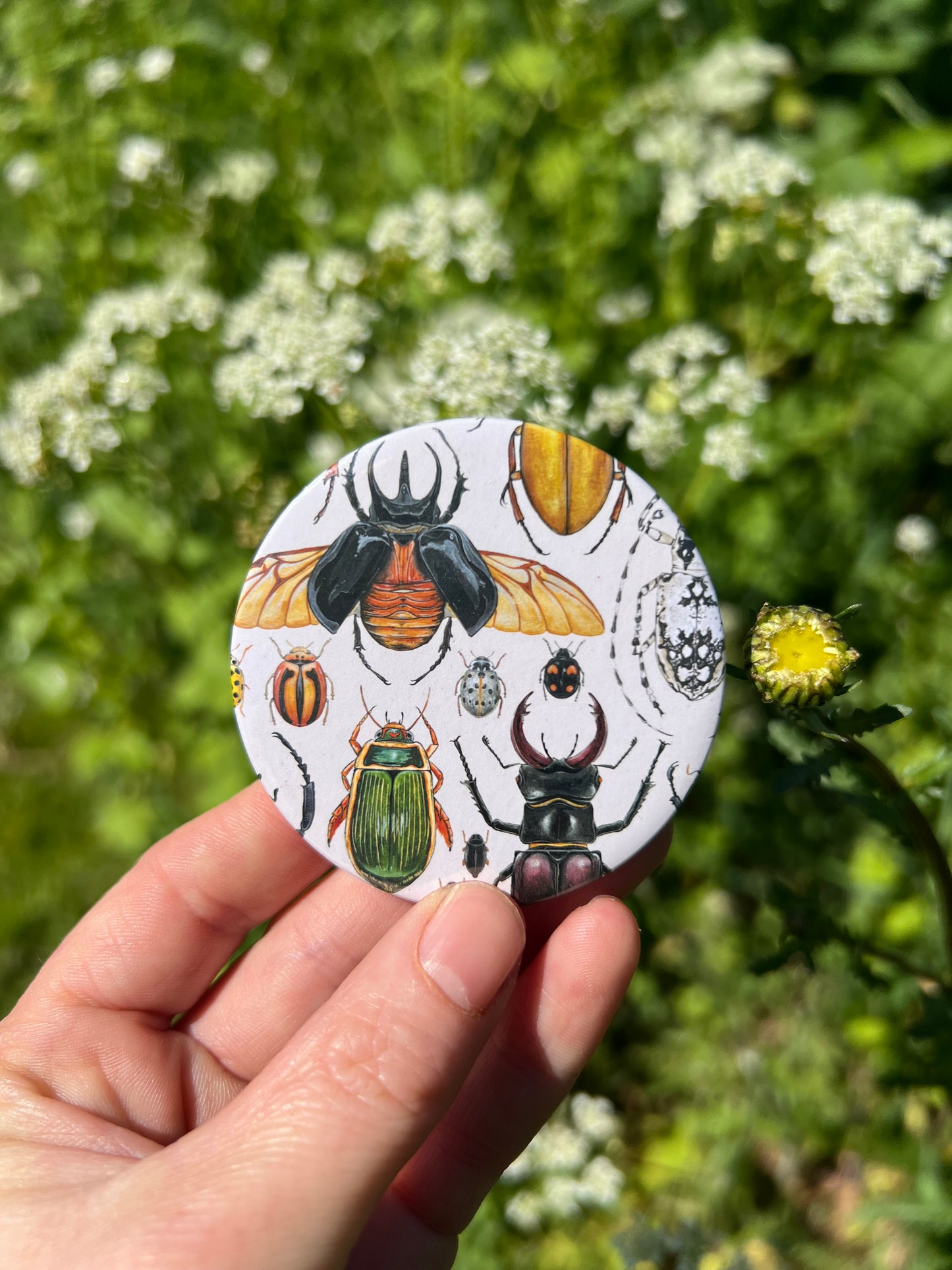 Beetle Pocket Mirror