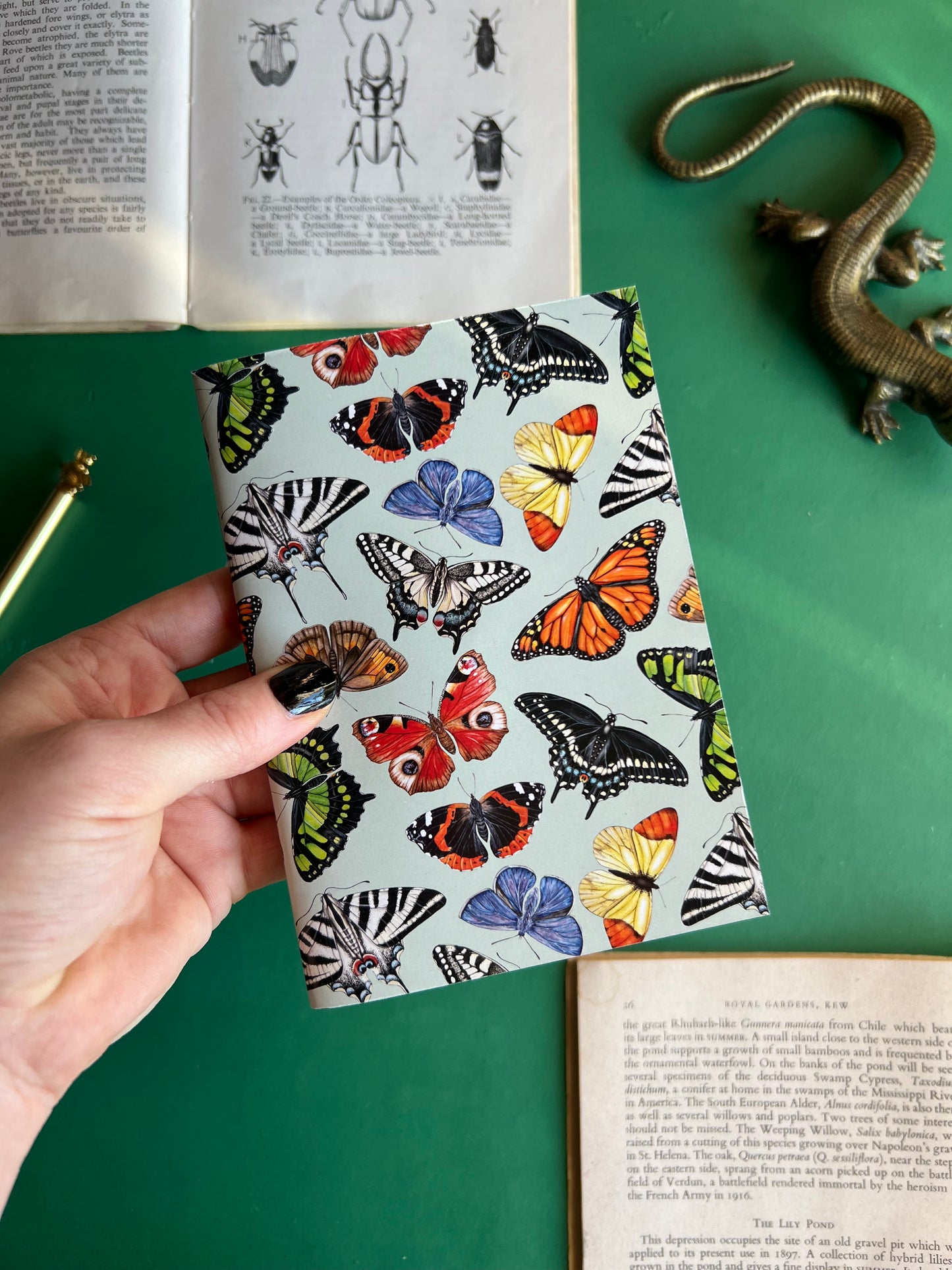 Butterflies Pocket Notebook