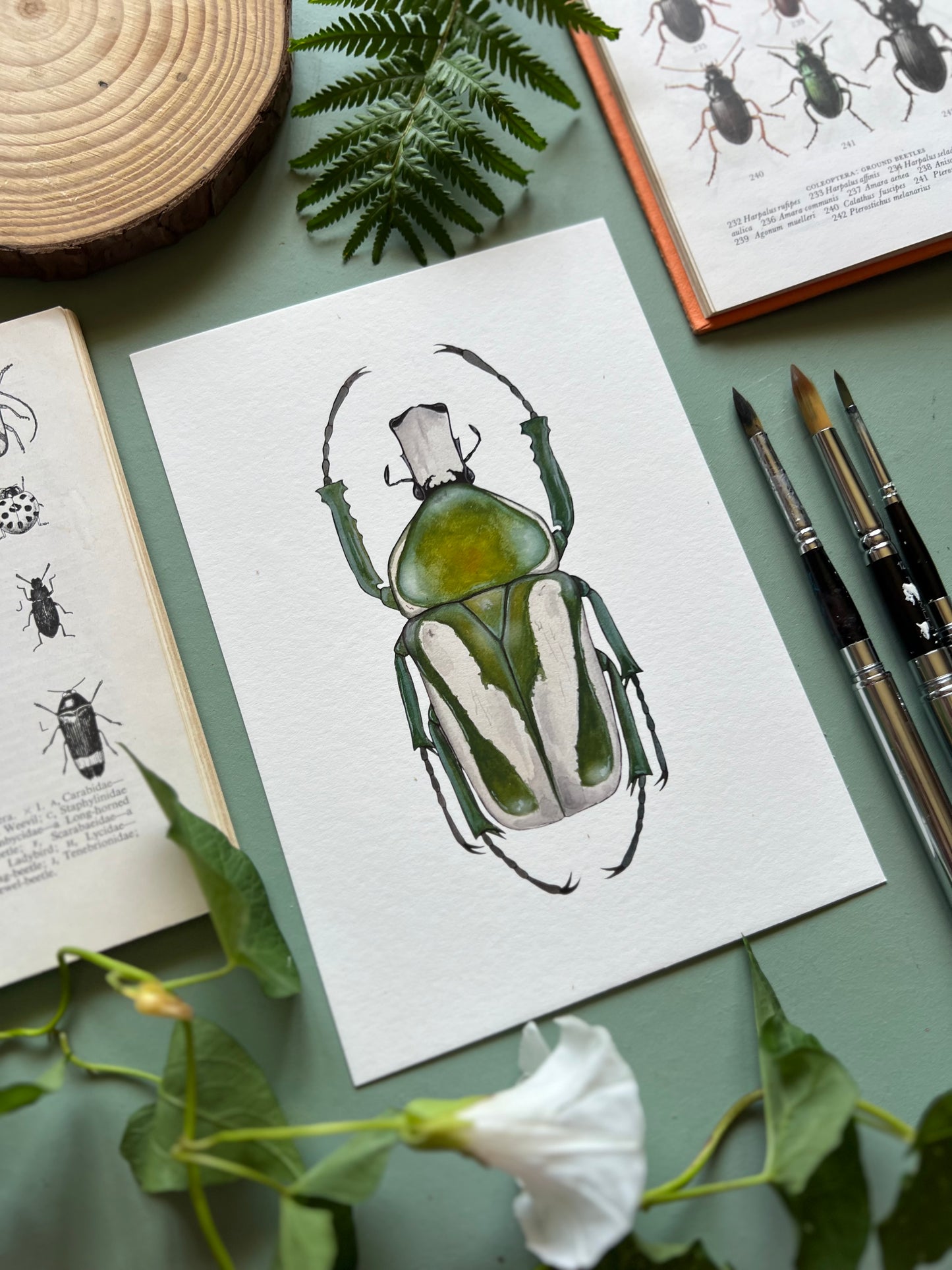 Regal Fruit Chafer Print
