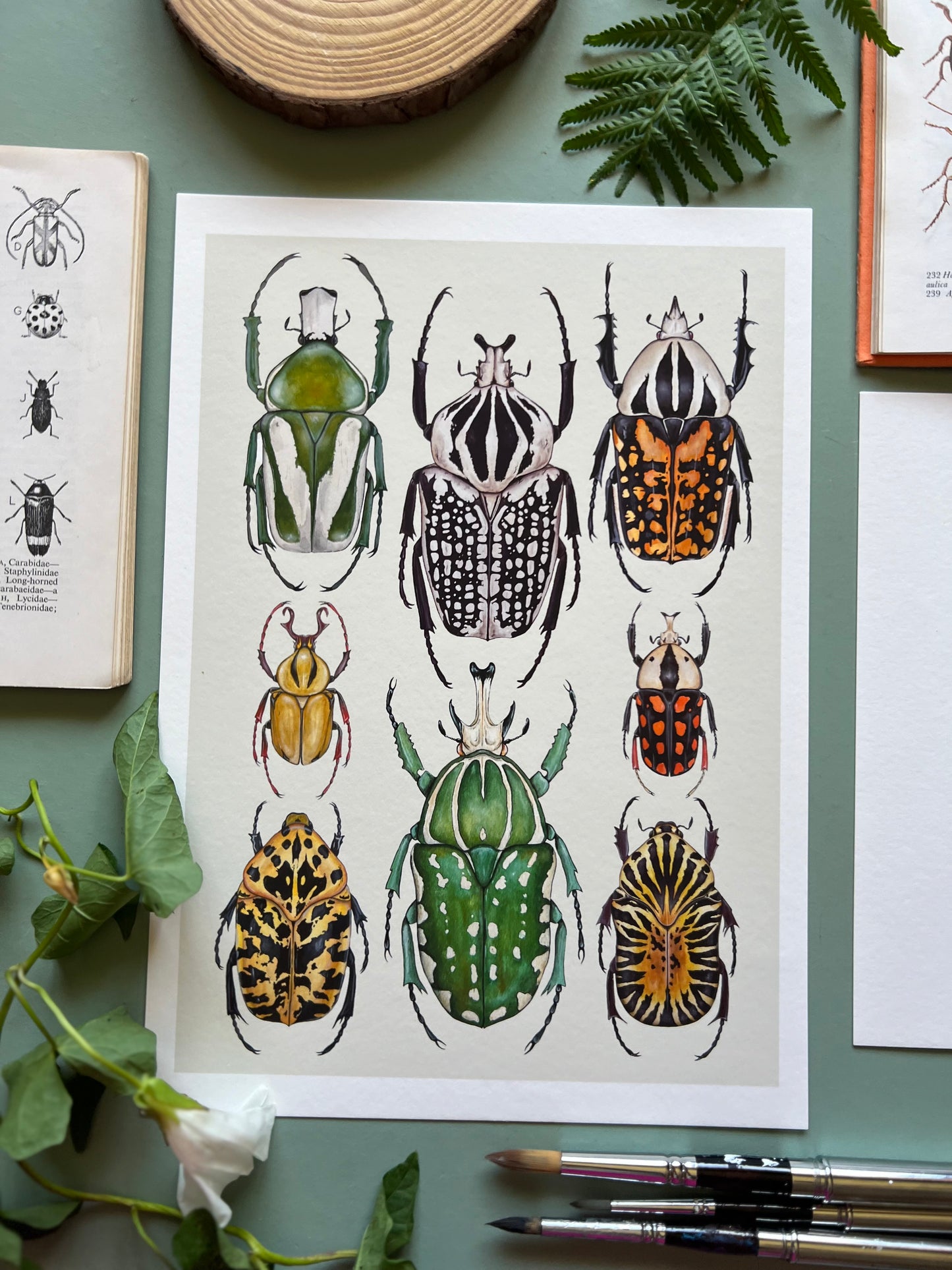 Beetles Print