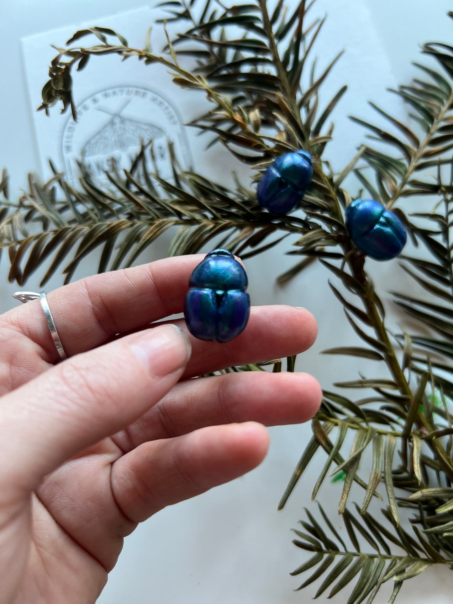 Spring Dor Beetle Pin Badge