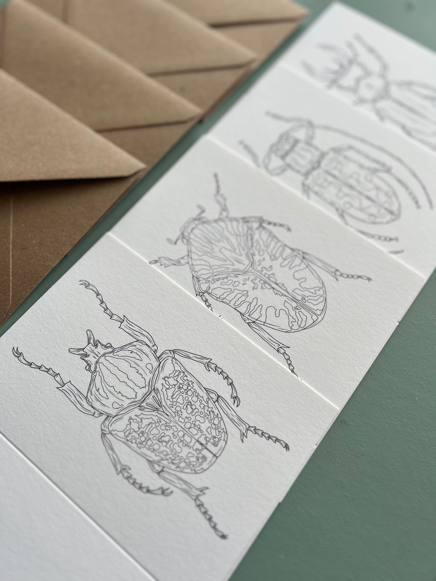 Beetle Colouring in Card Set
