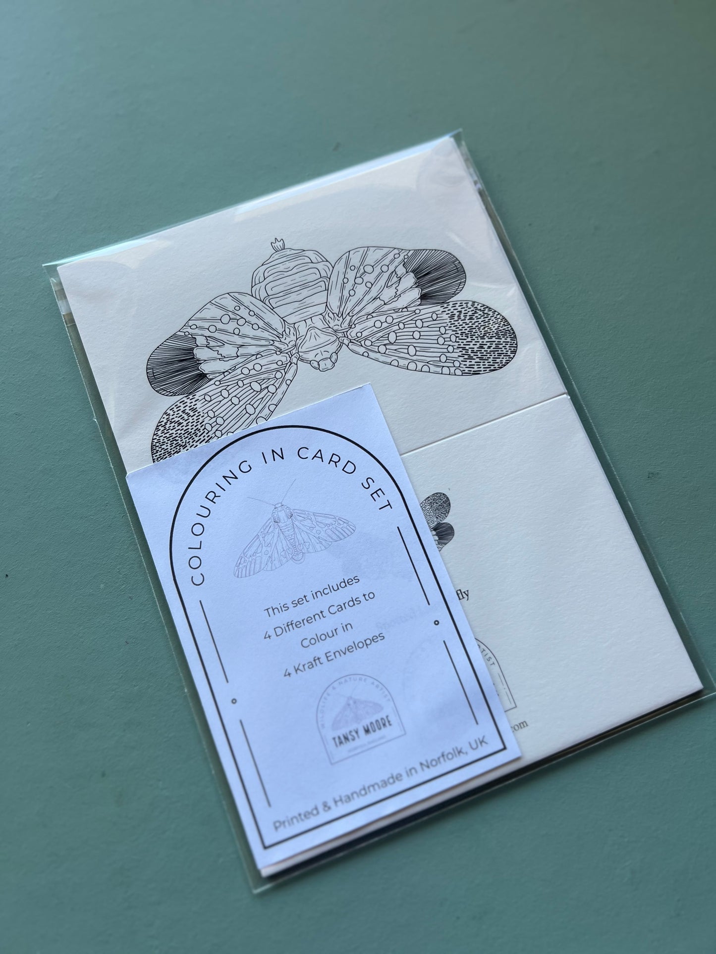 Insects Colouring in Card Set