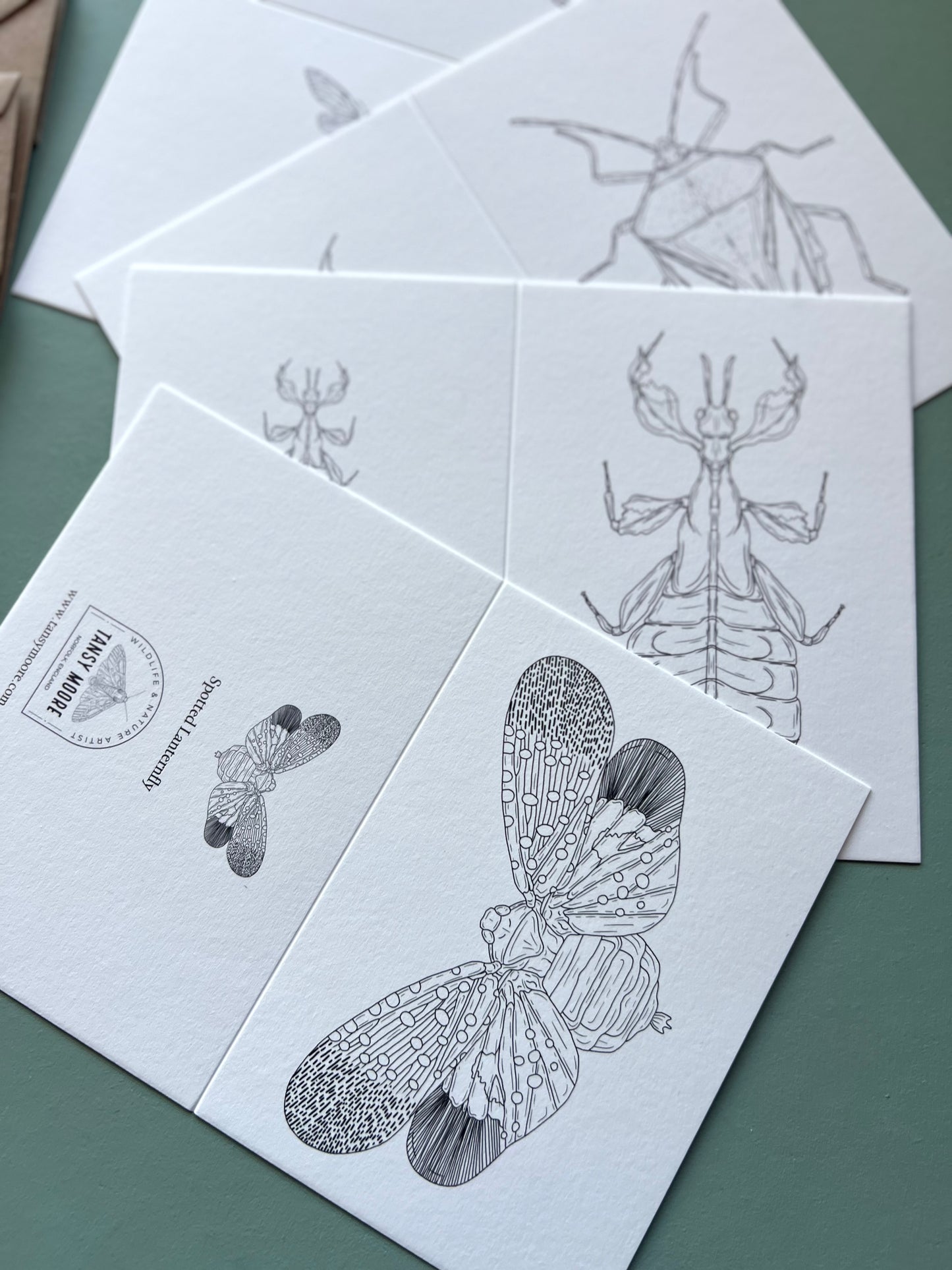 Insects Colouring in Card Set