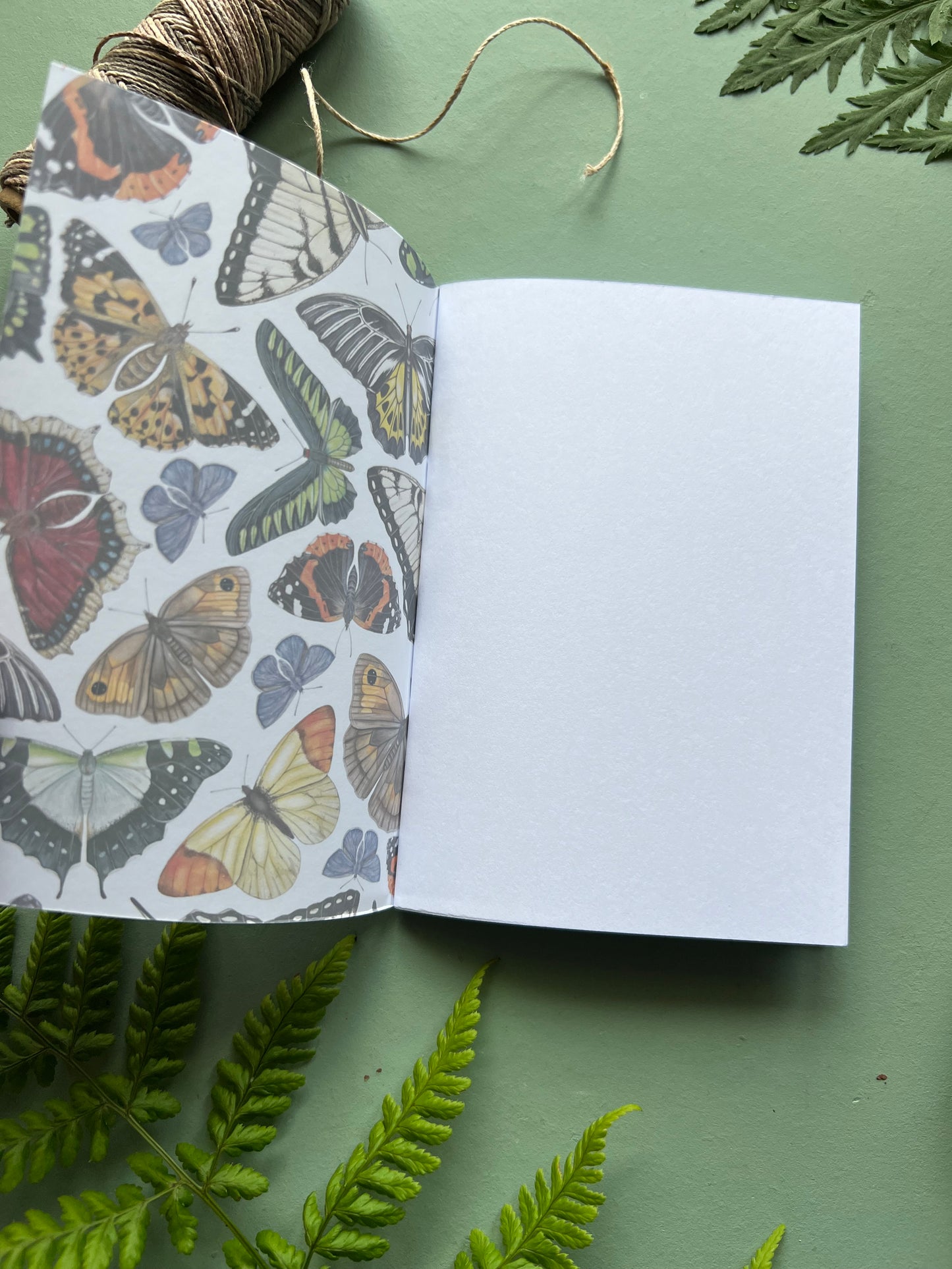 Butterflies Pocket Notebook