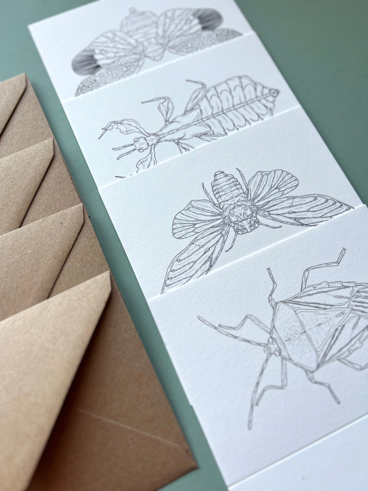 Insects Colouring in Card Set