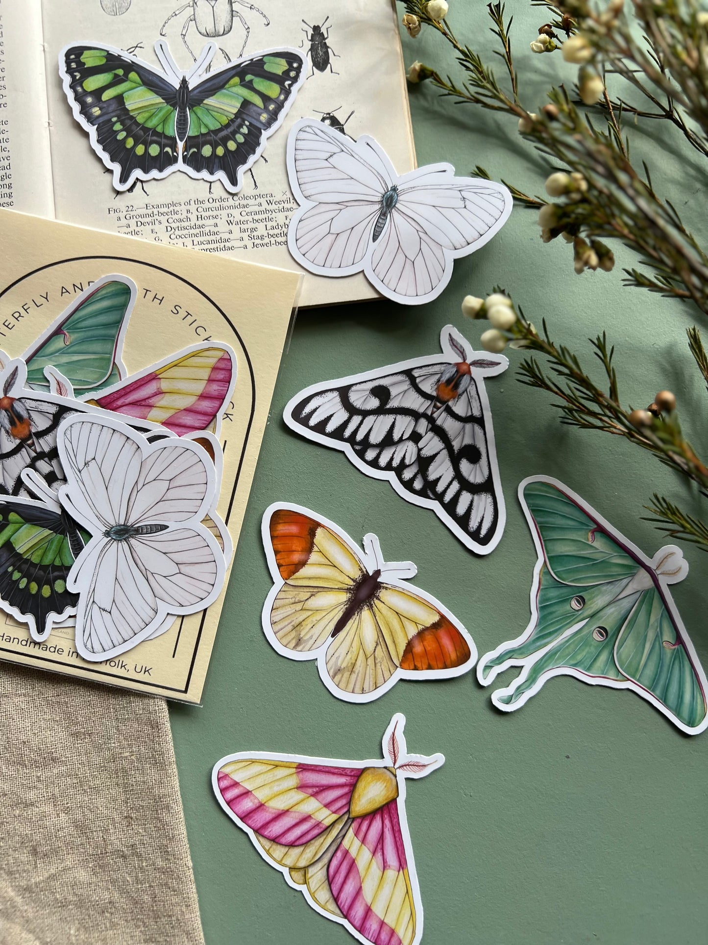 Butterfly and Moth Sticker Set