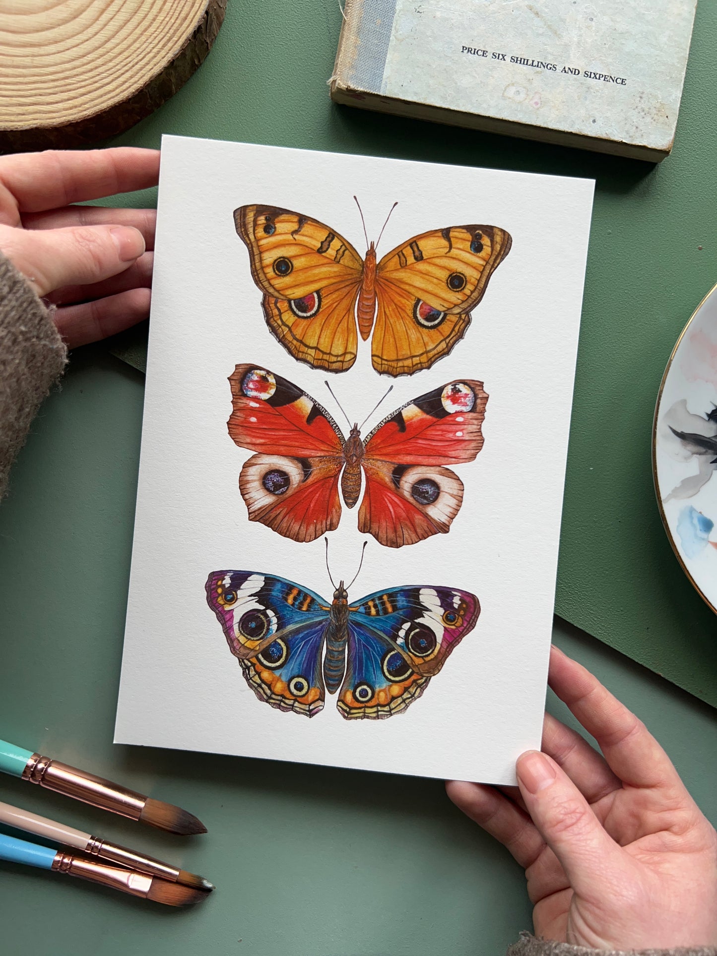 Butterflies with Eyes