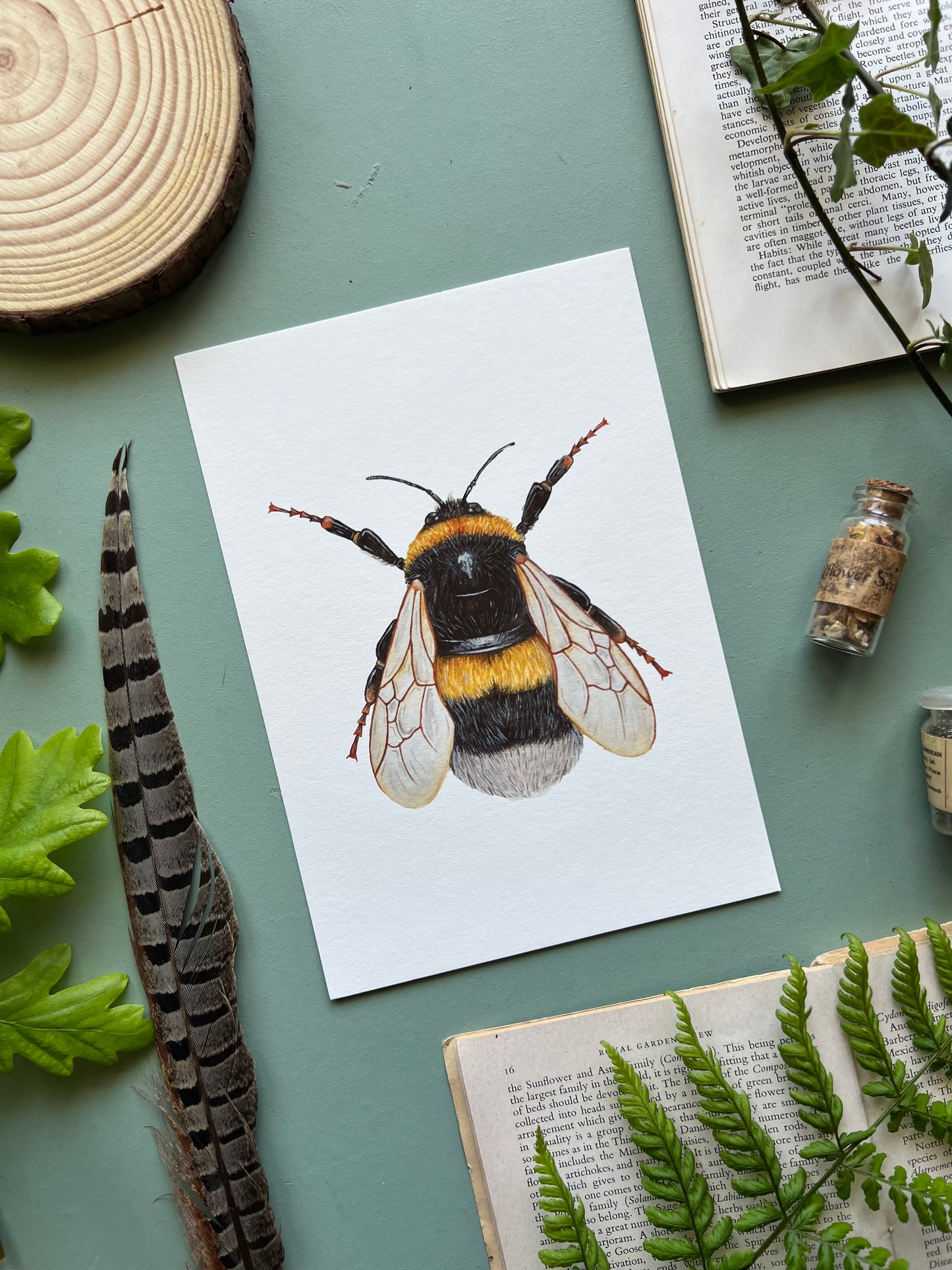 Bumblebee