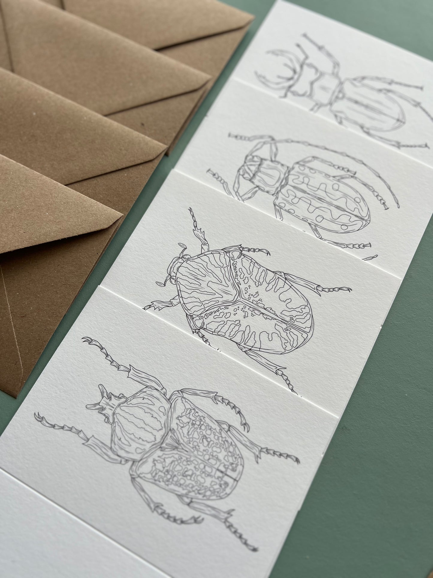 Beetle Colouring in Card Set