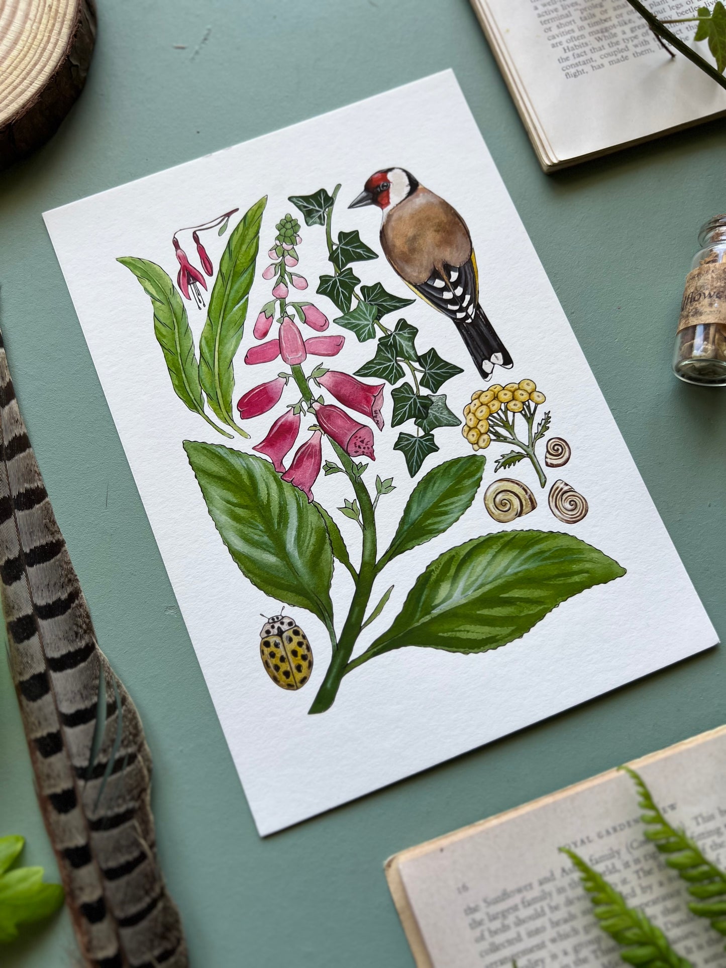 Wild Cottage Garden Print