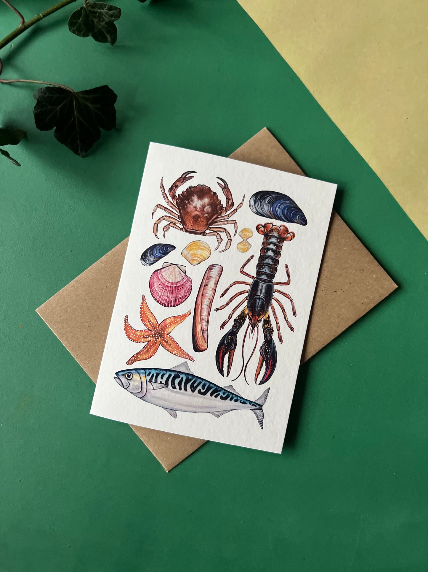 Marine Life Card