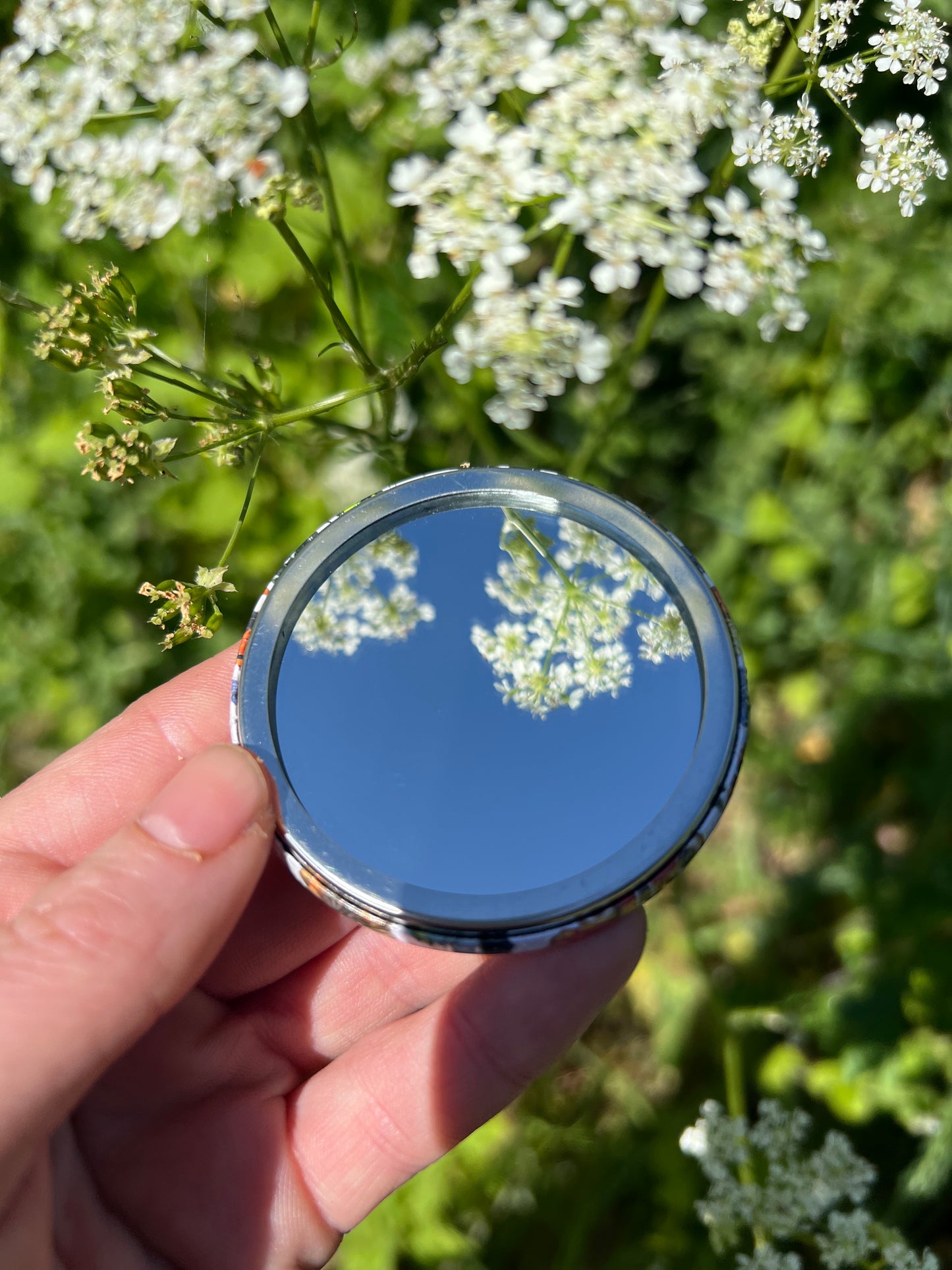 Mushroom Wheel Pocket Mirror