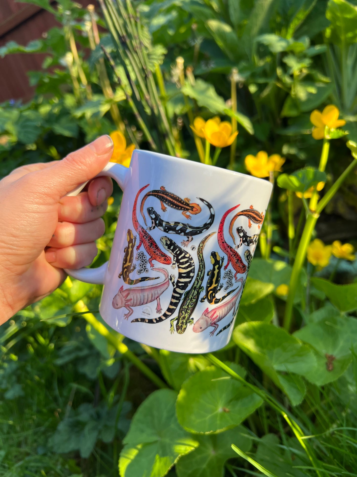 Salamander Ceramic Mug
