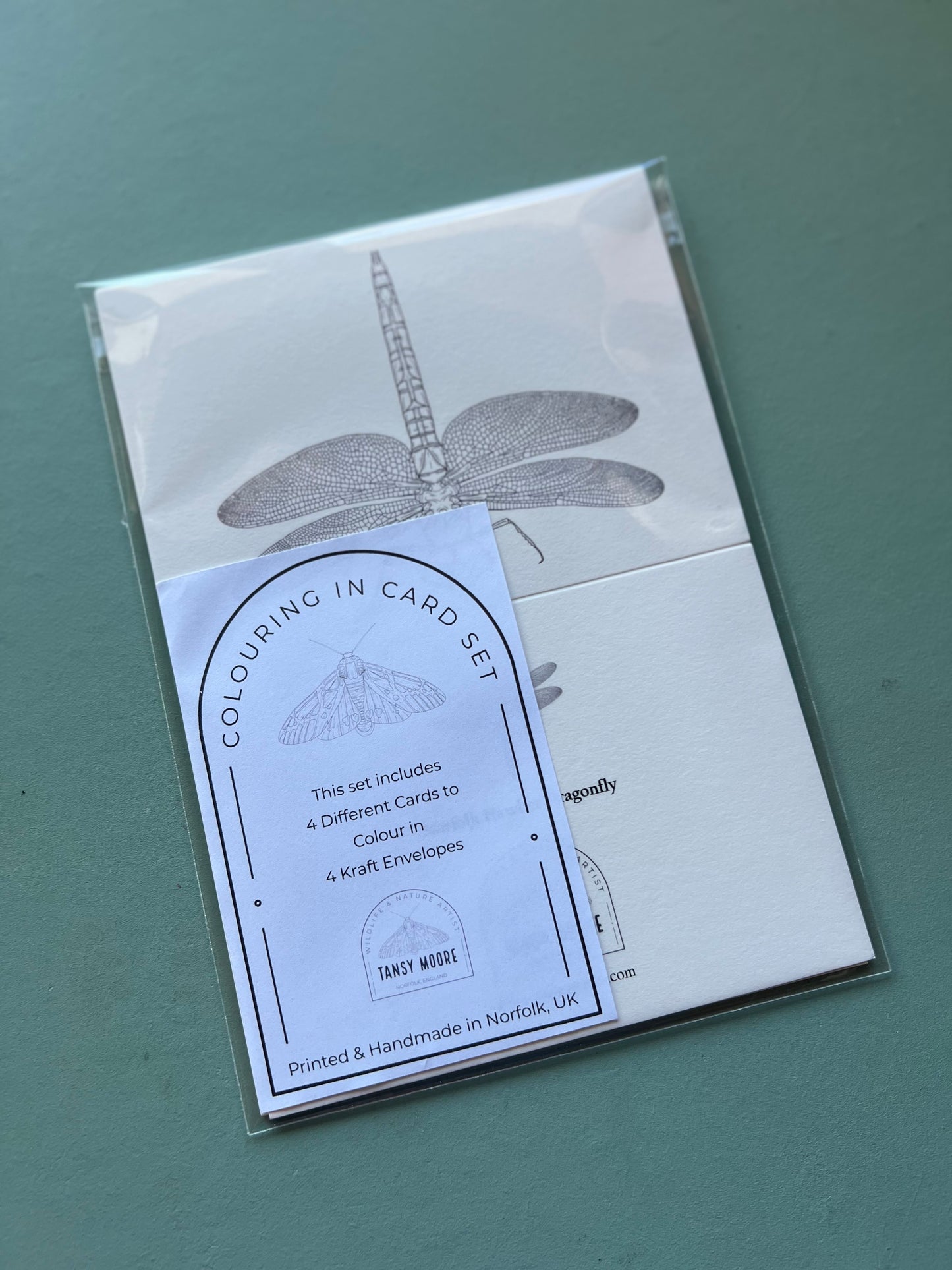 British Insects Colouring in Card Set