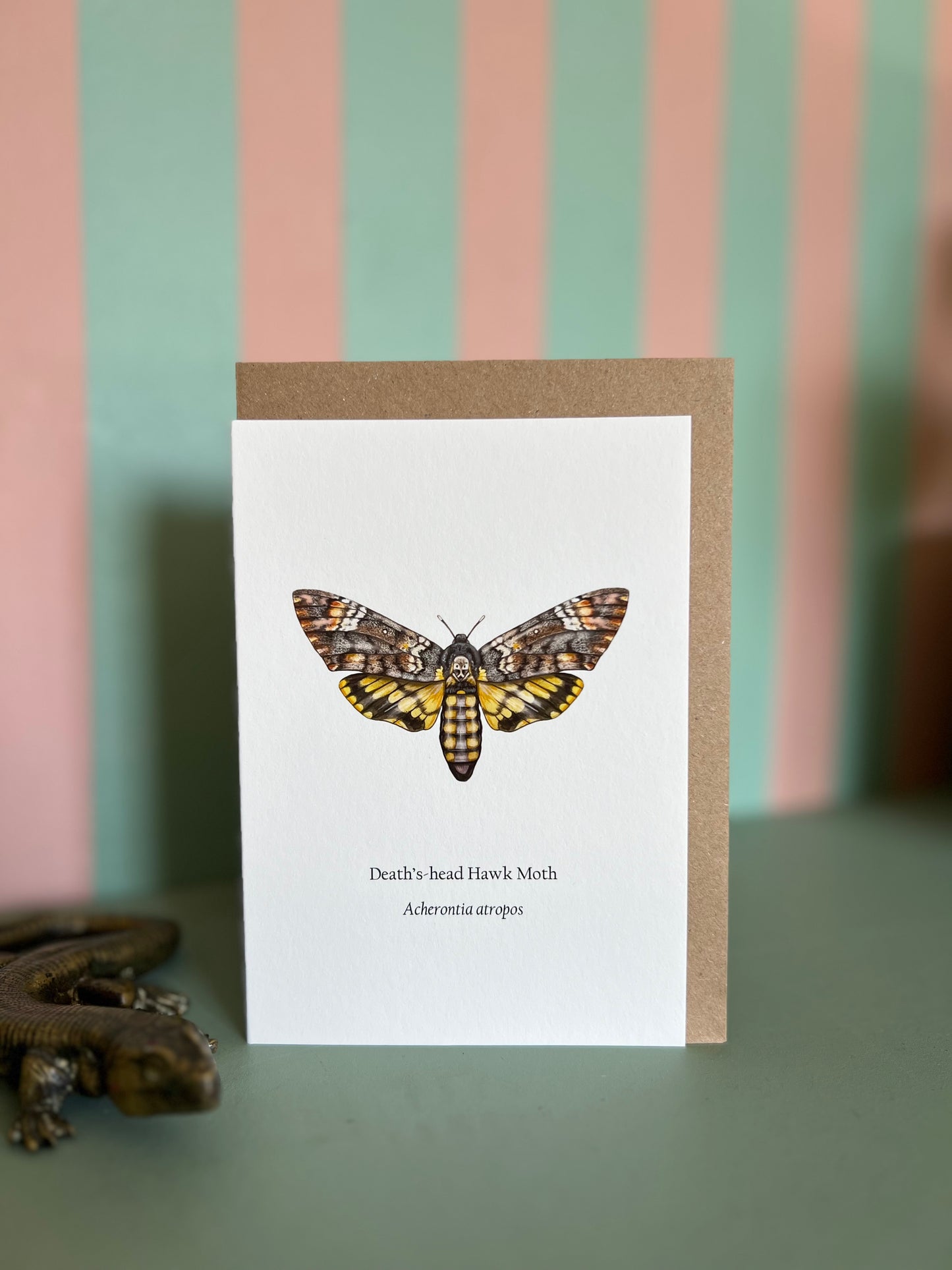 Deaths-head Hawk Moth Card