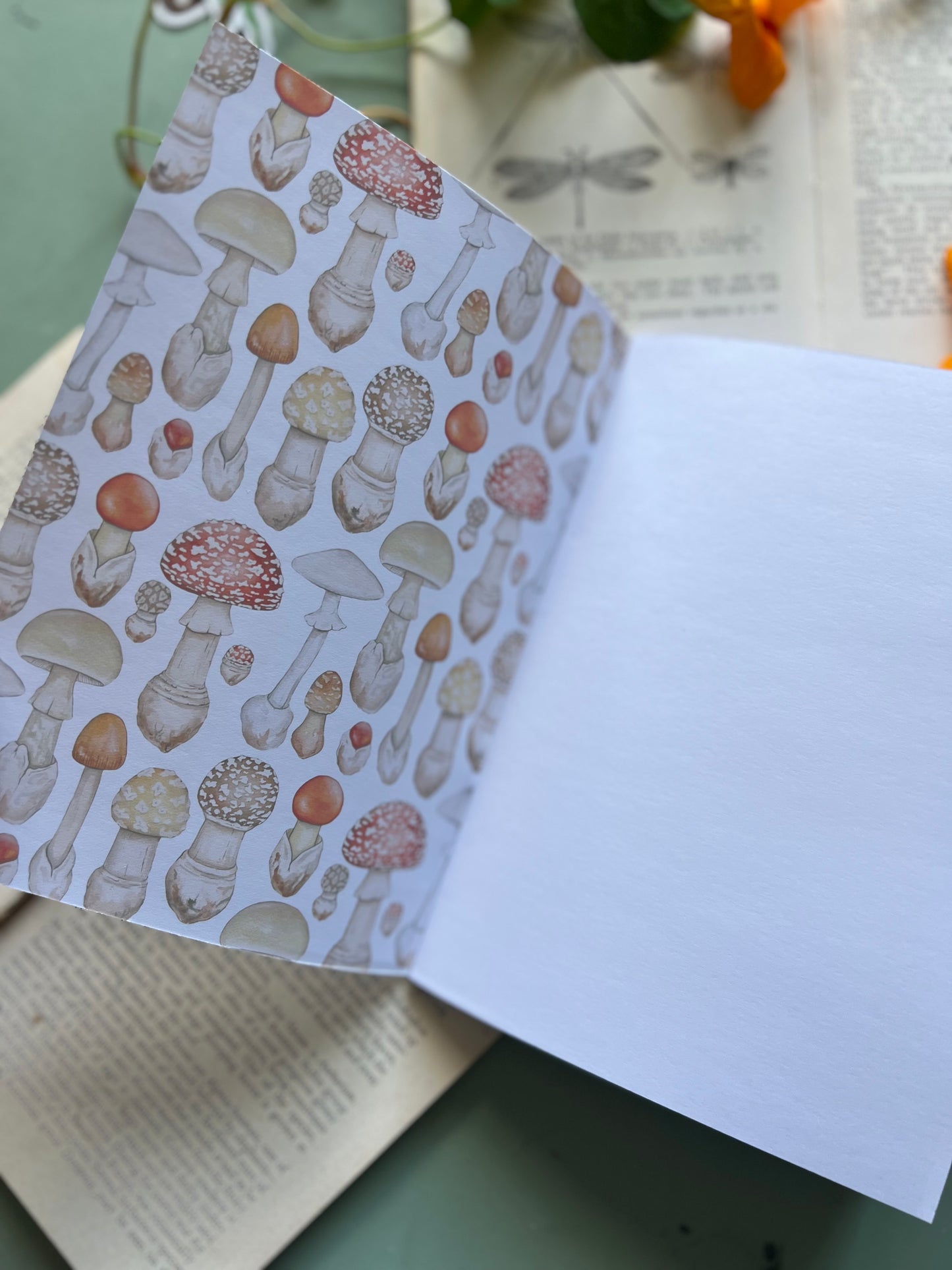 Mushroom Notebook