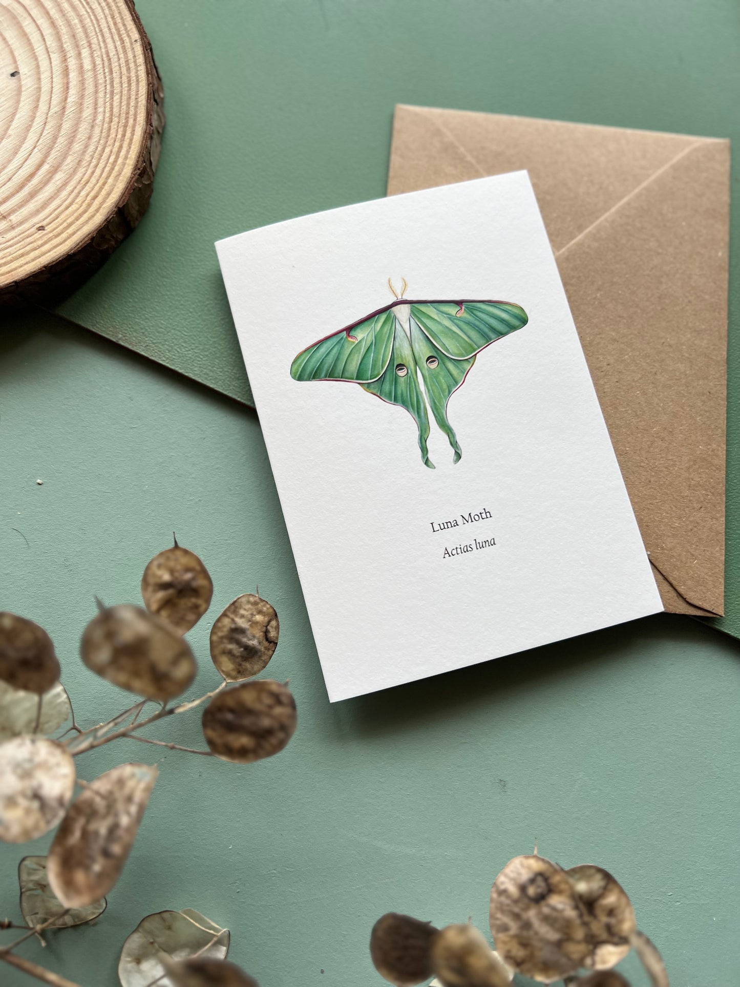 Luna Moth Card