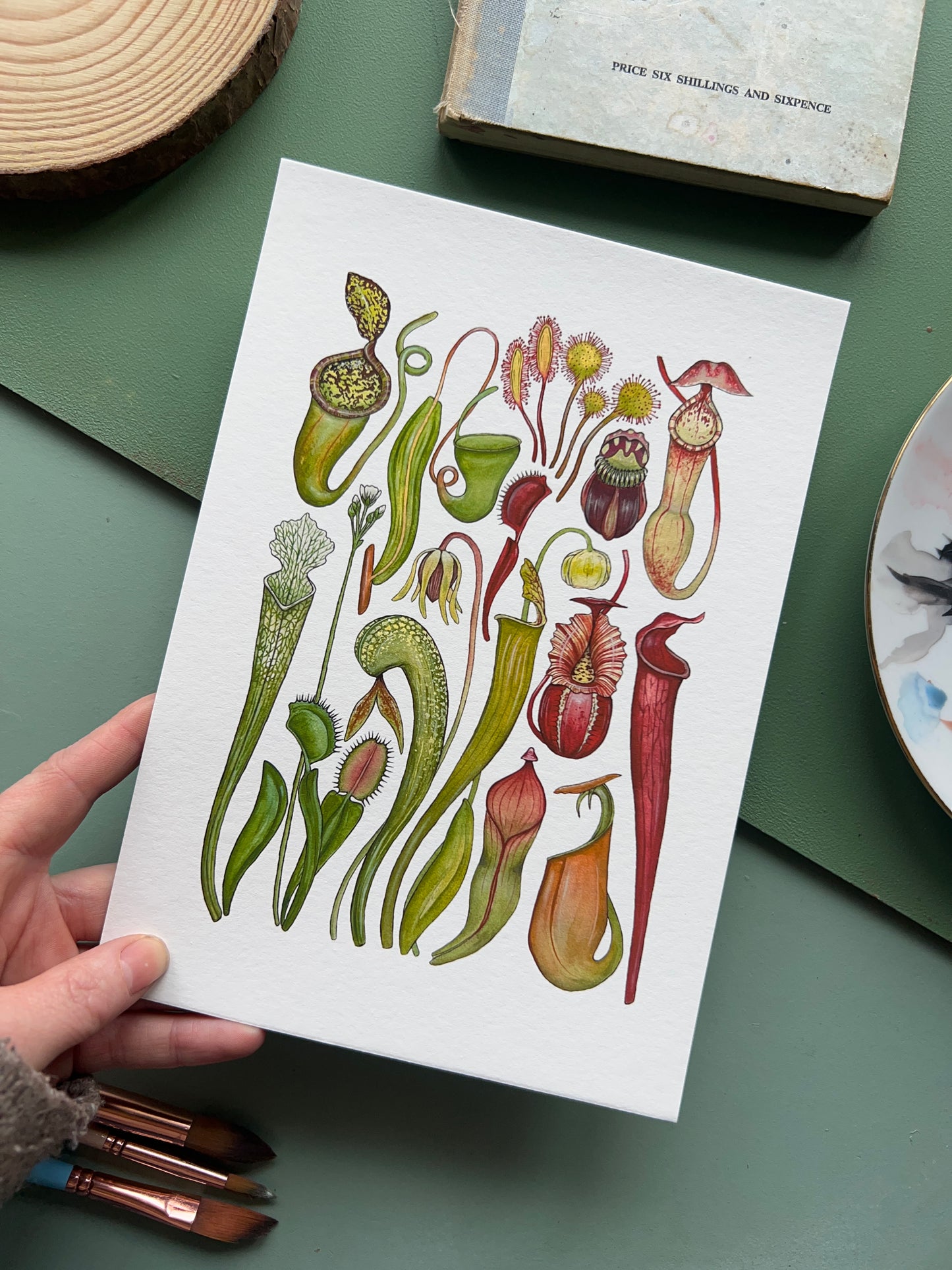 Carnivorous Plants Print