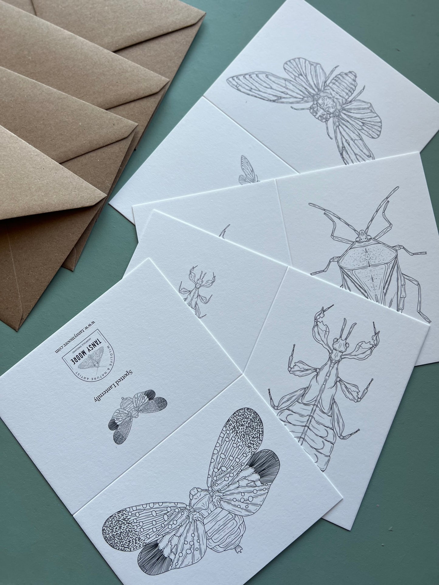 Insects Colouring in Card Set