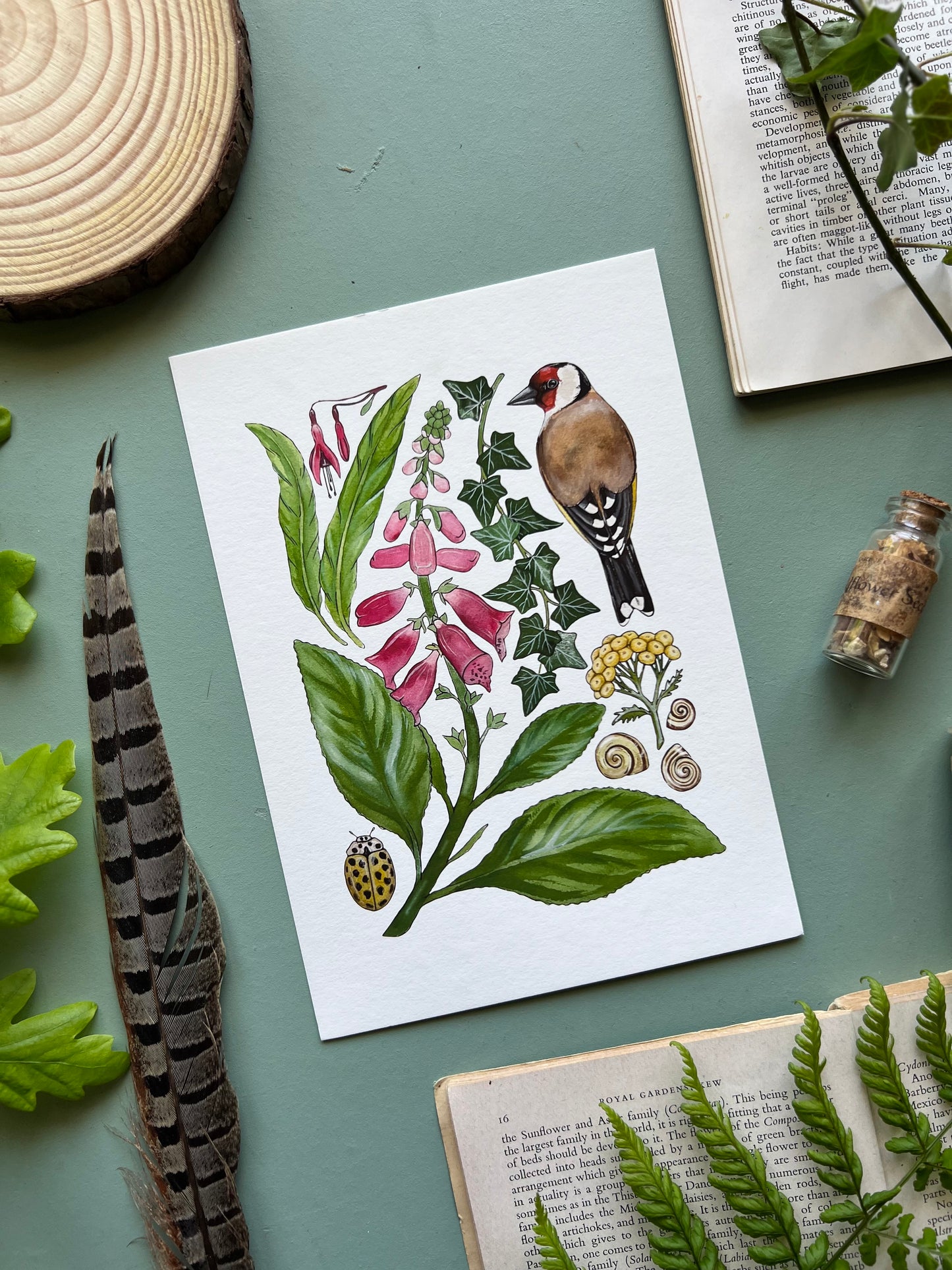 Wild Cottage Garden Print