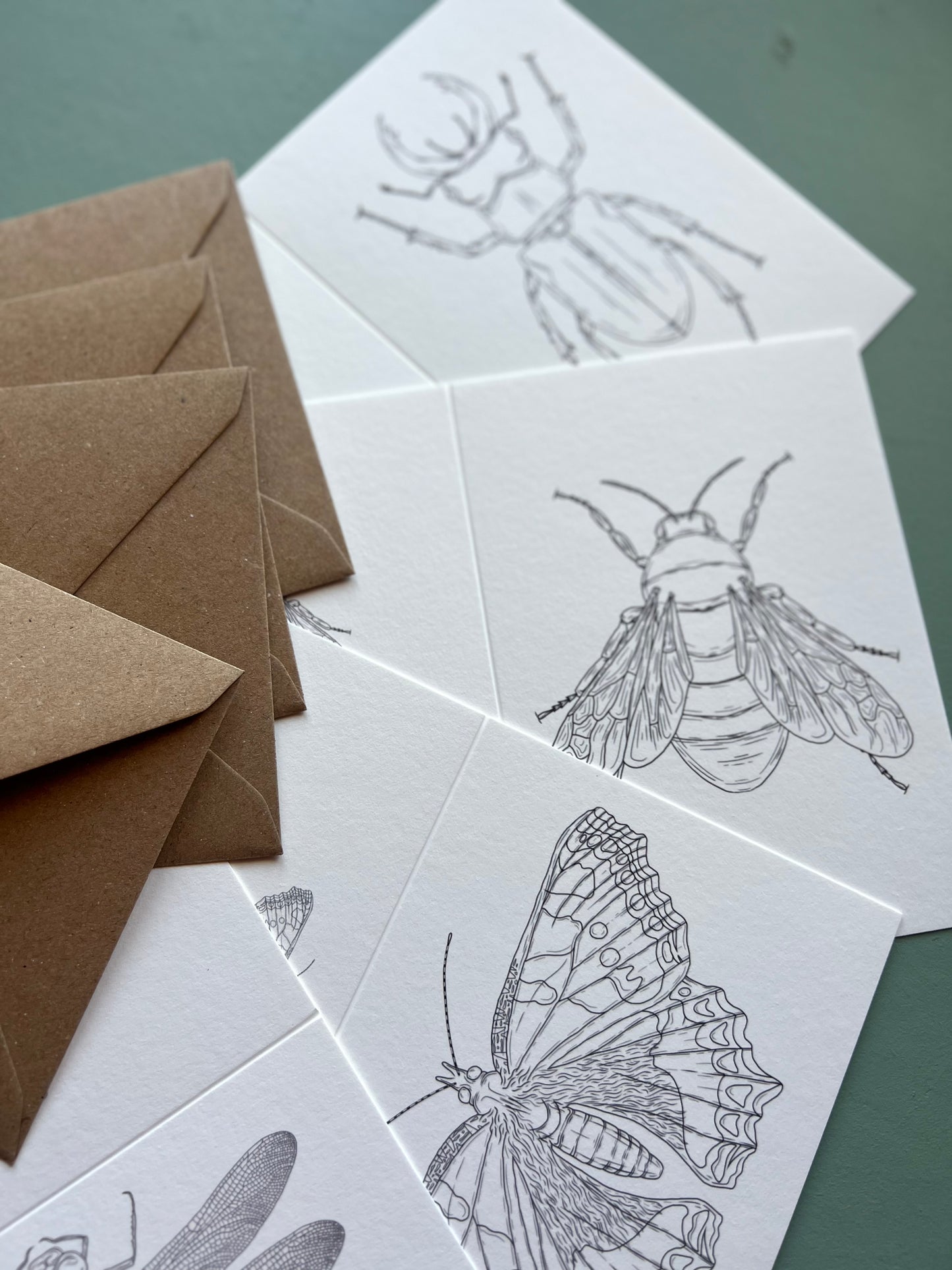 British Insects Colouring in Card Set