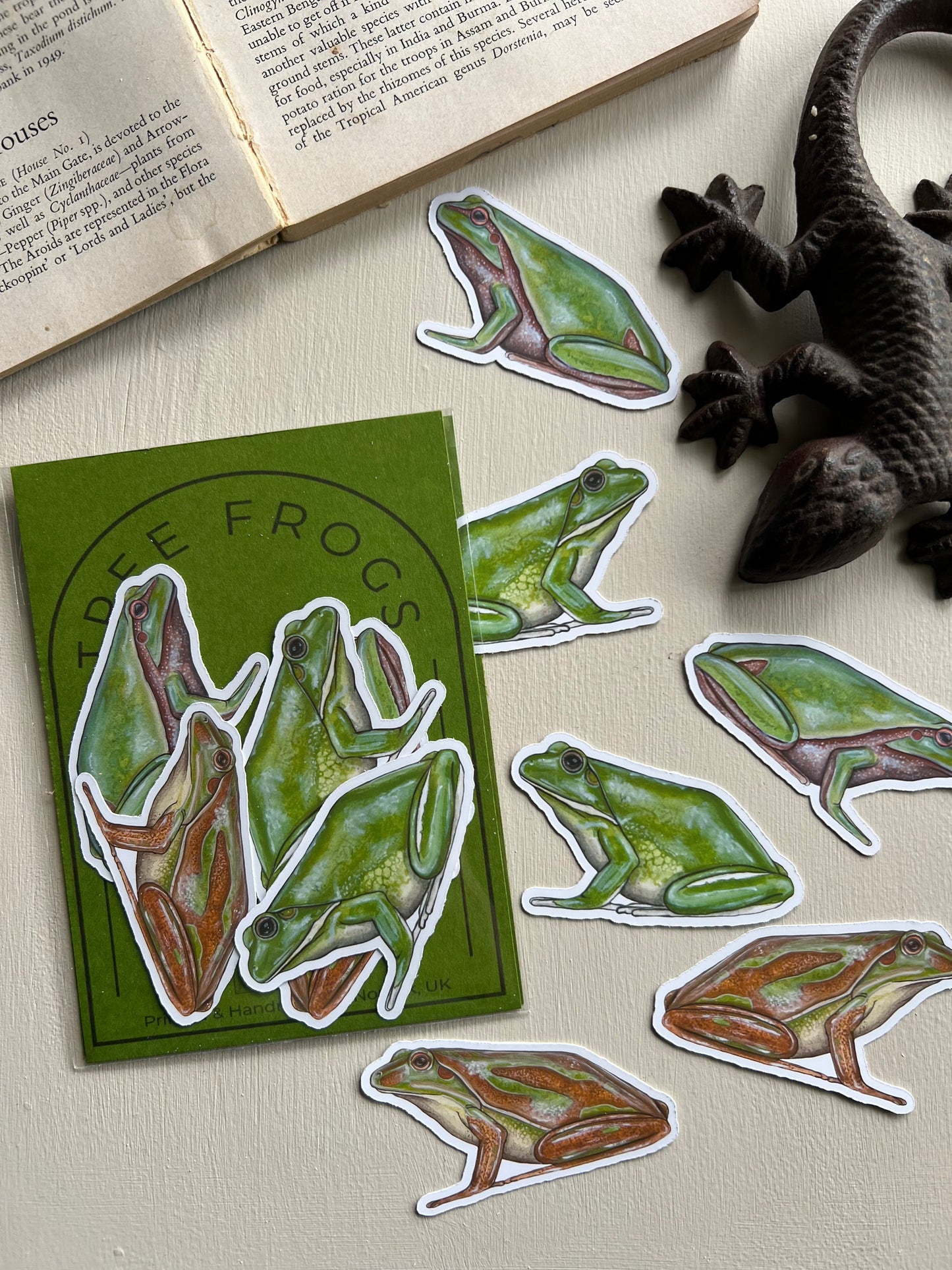 Tree Frog Sticker Set