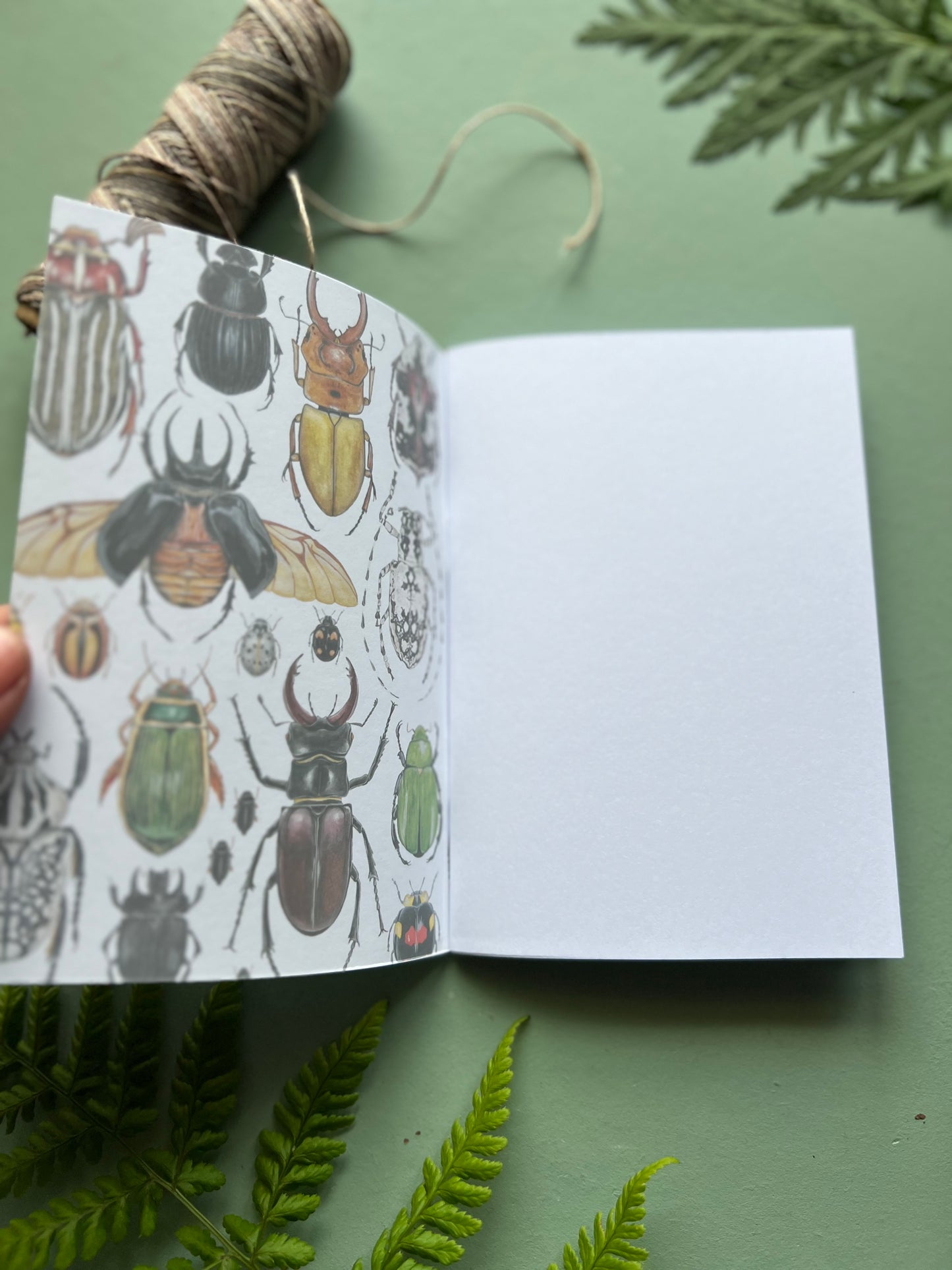 Beetles Pocket Notebook
