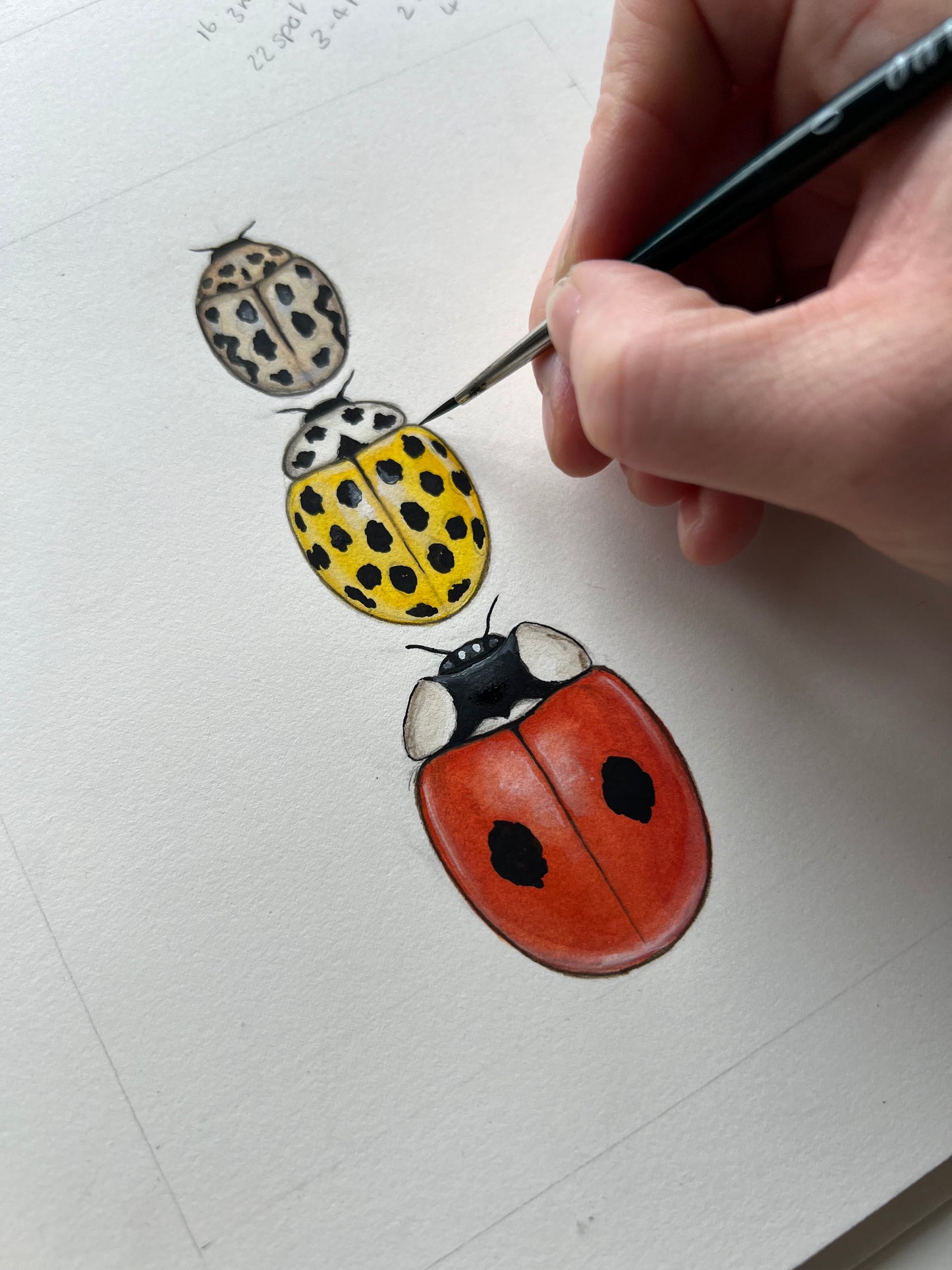 3 Ladybirds Framed Original