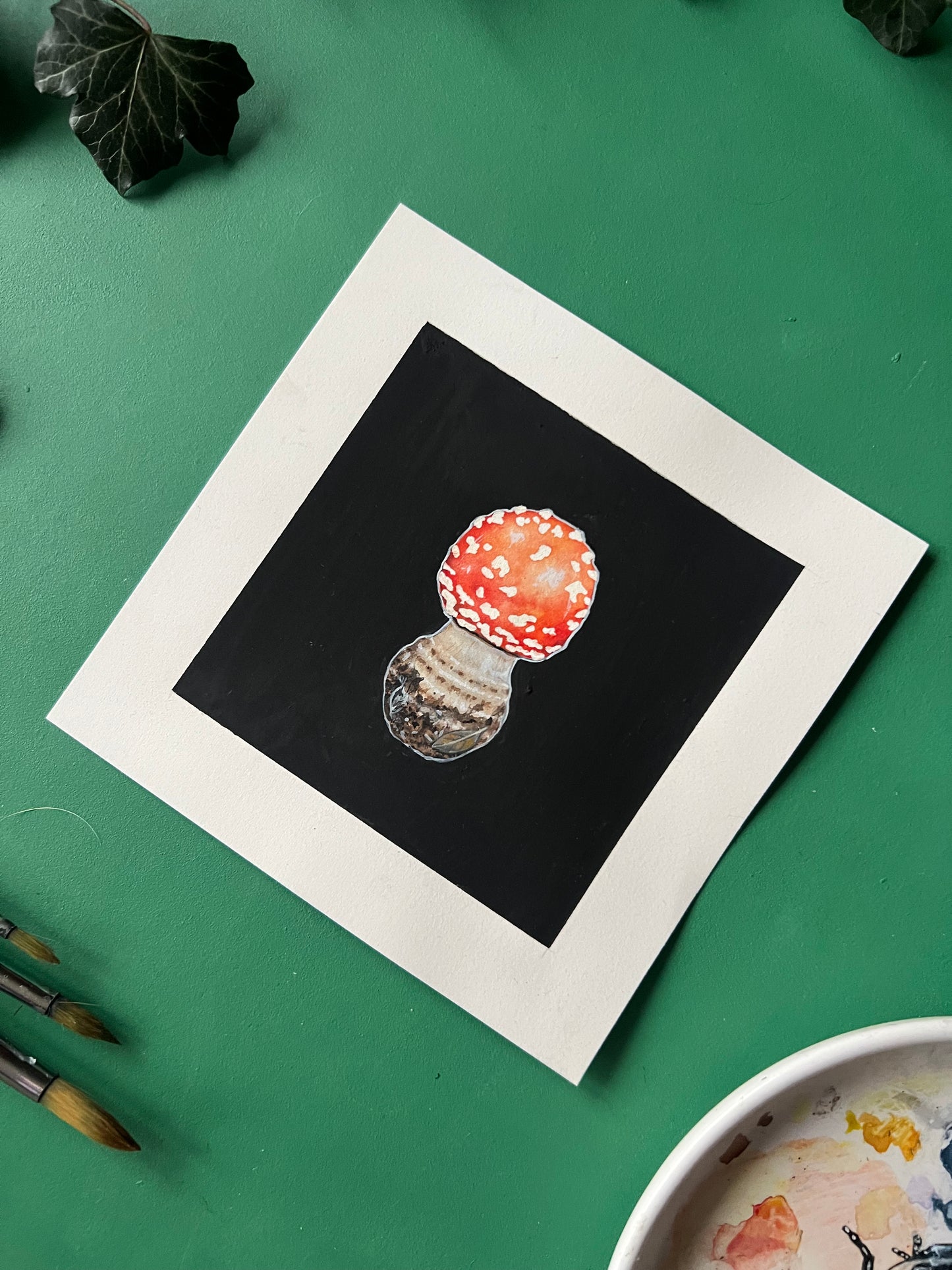 Fly Agaric / Amanita Muscaria