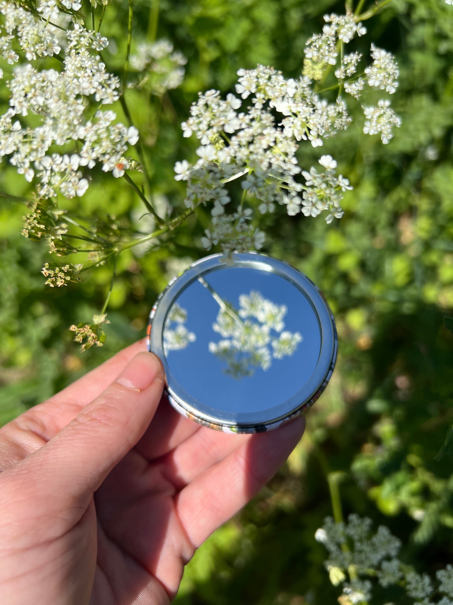 Carnivorous Plants Pocket Mirror