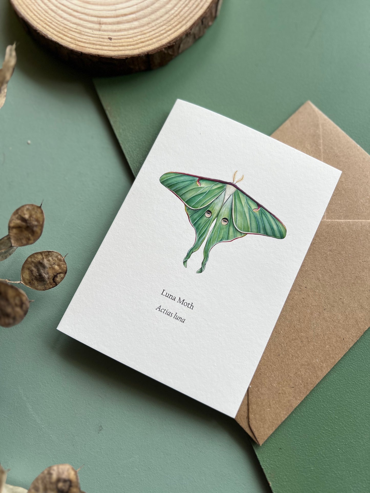 Luna Moth Card