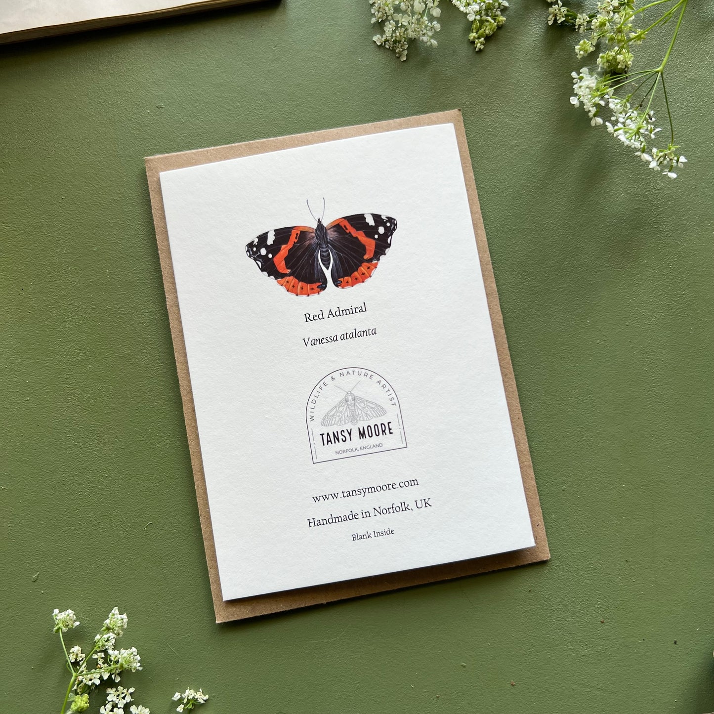 Red Admiral Card