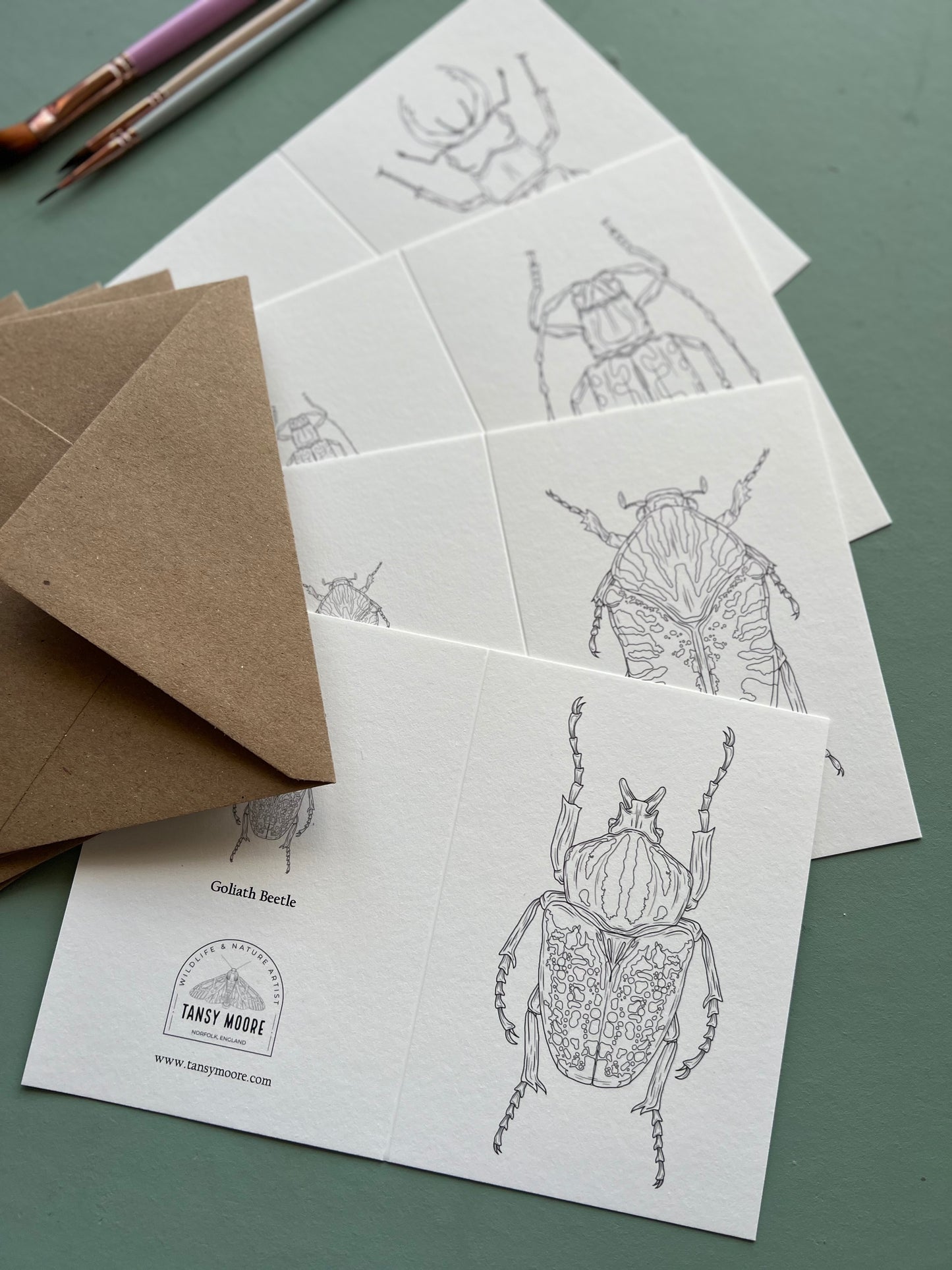 Beetle Colouring in Card Set