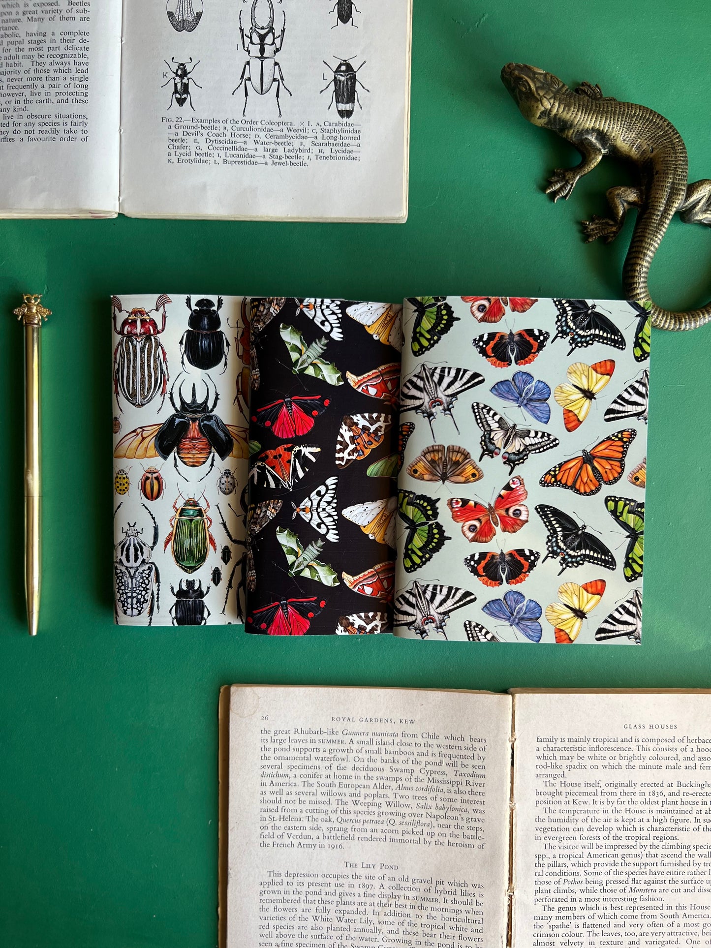 Insect Pocket Notebook Set