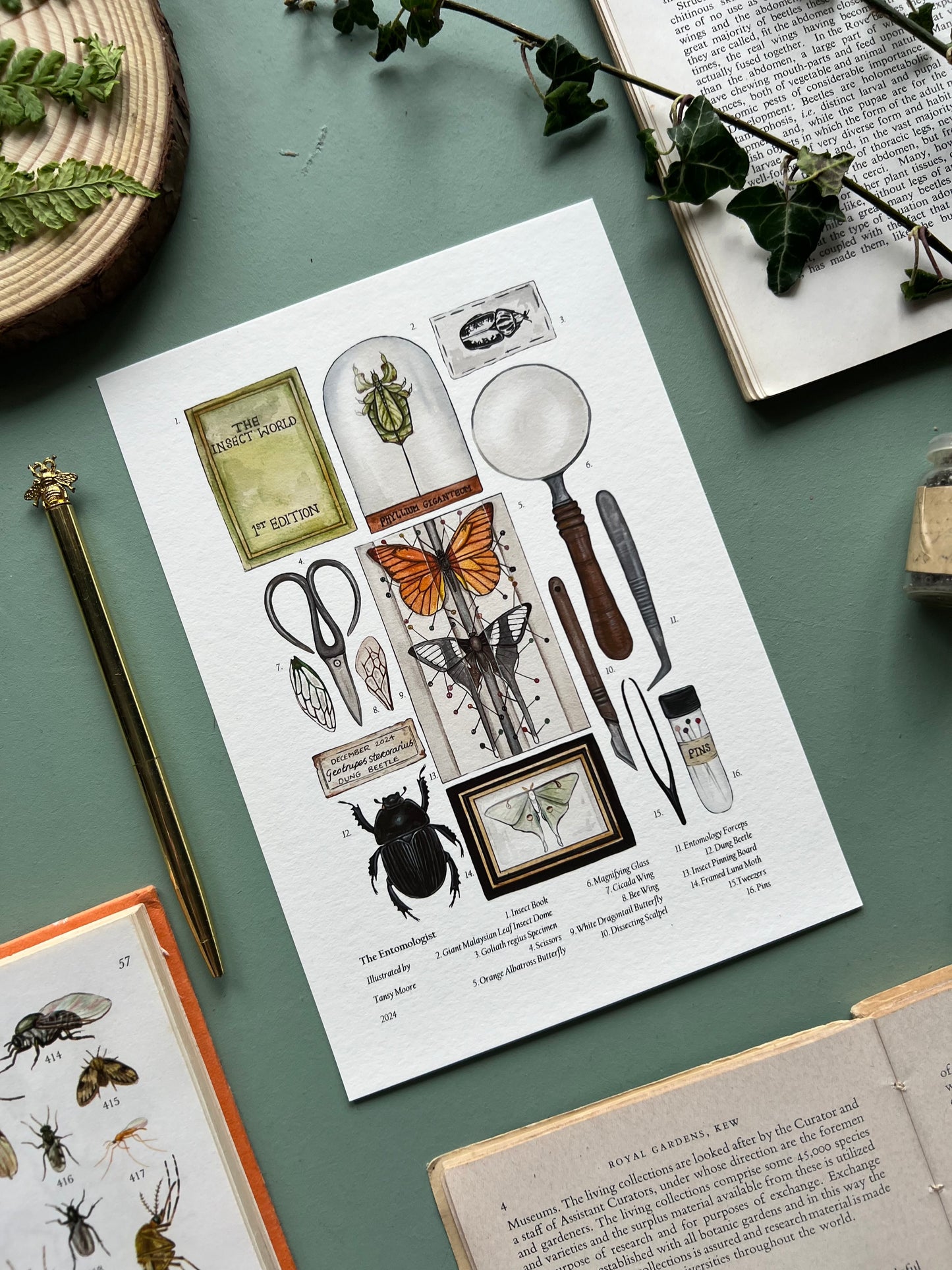The Entomologist Print
