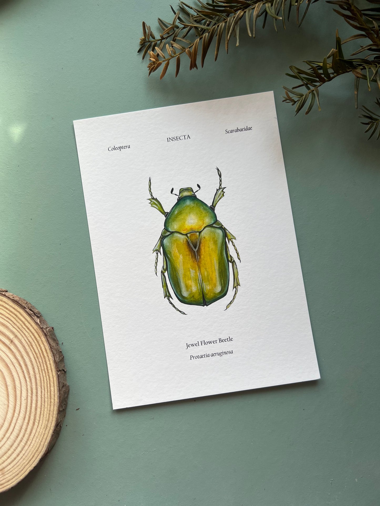 Seconds Print