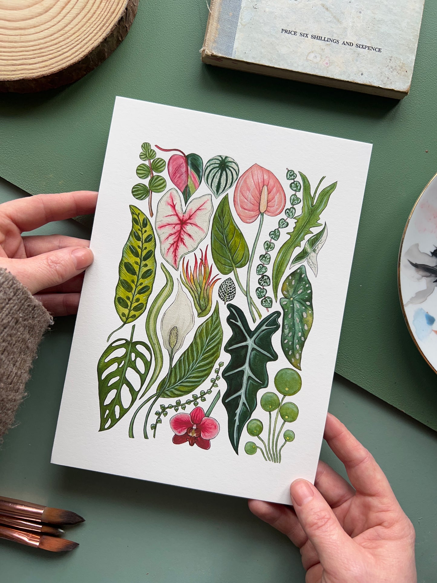 House Plants Print