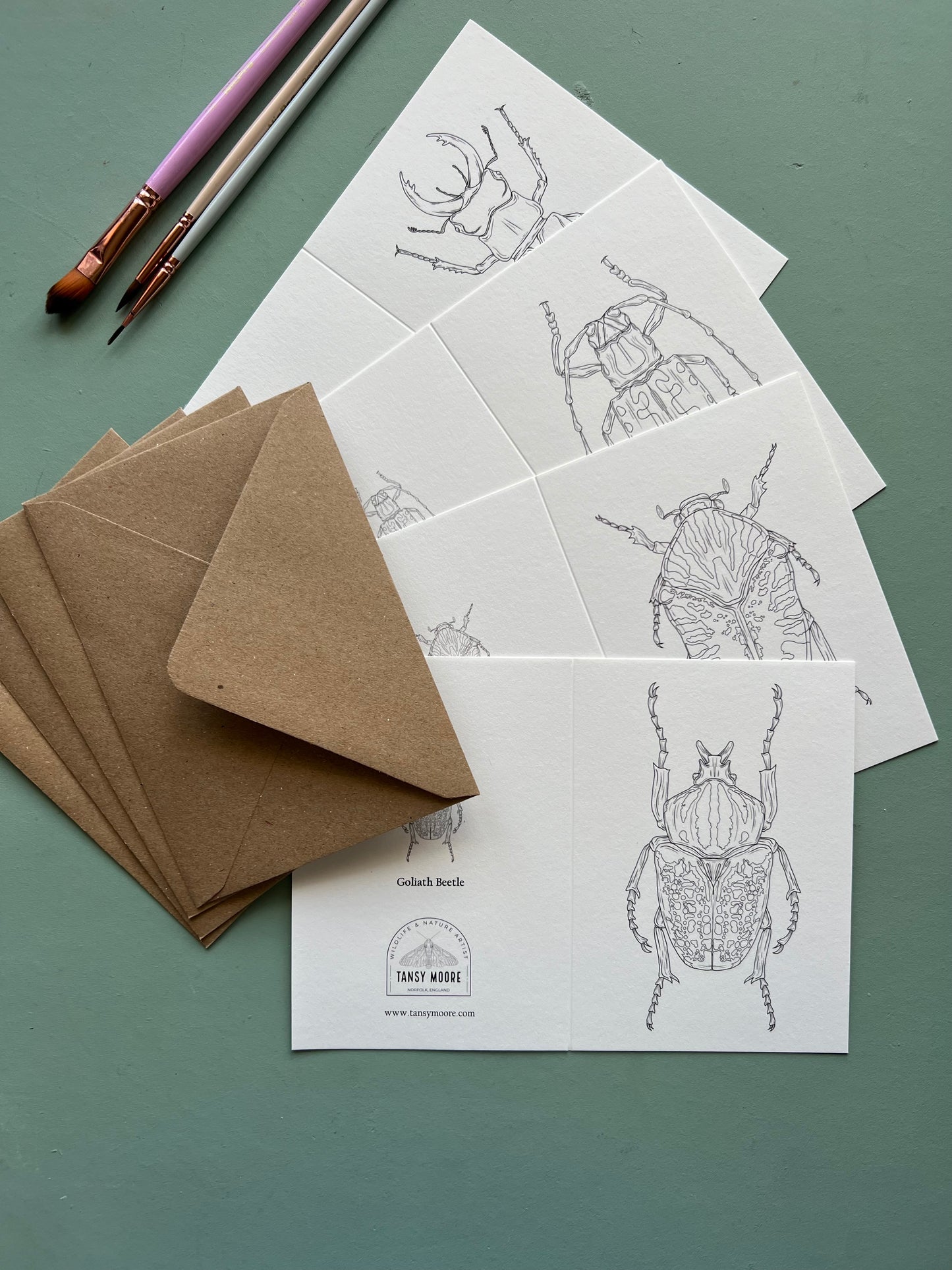 Beetle Colouring in Card Set