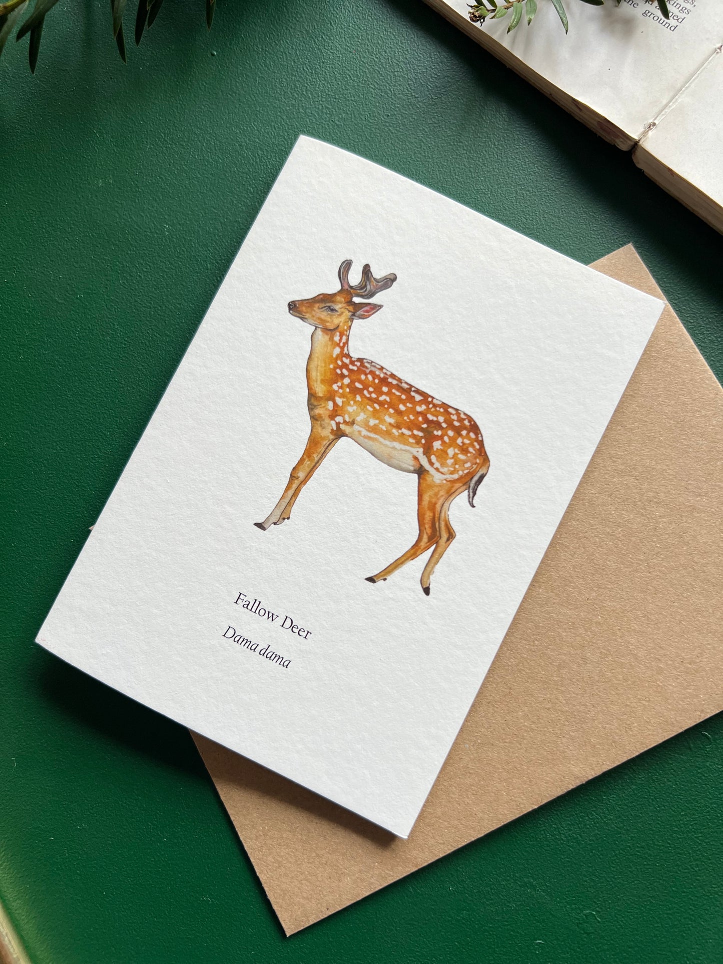 Fallow Deer Card