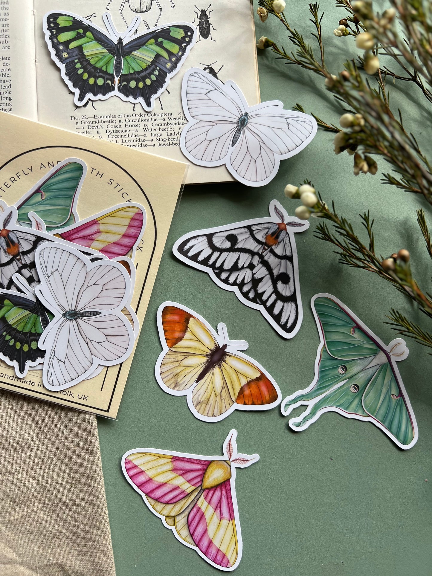 Butterfly and Moth Sticker Set