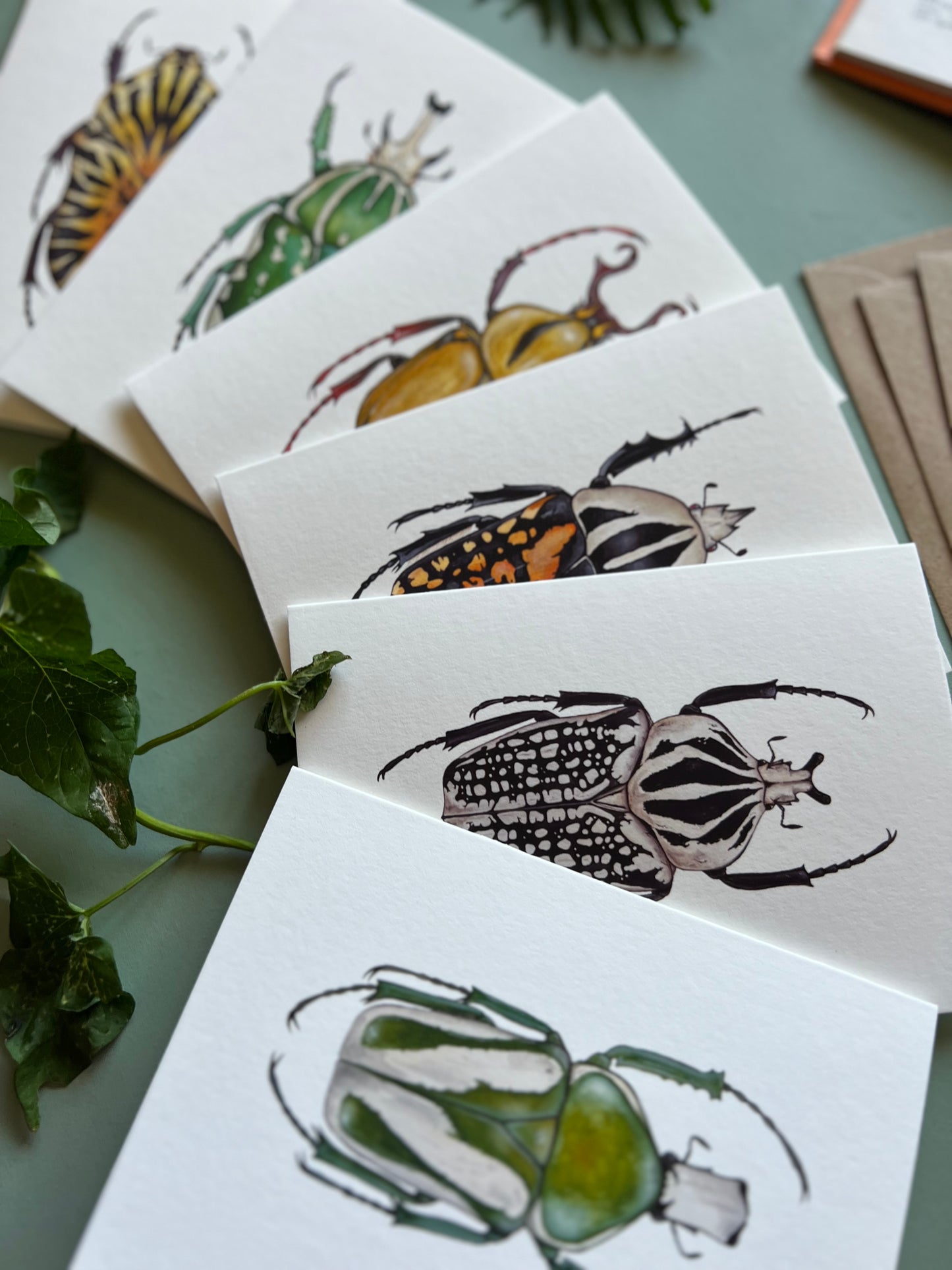 Beetles Set