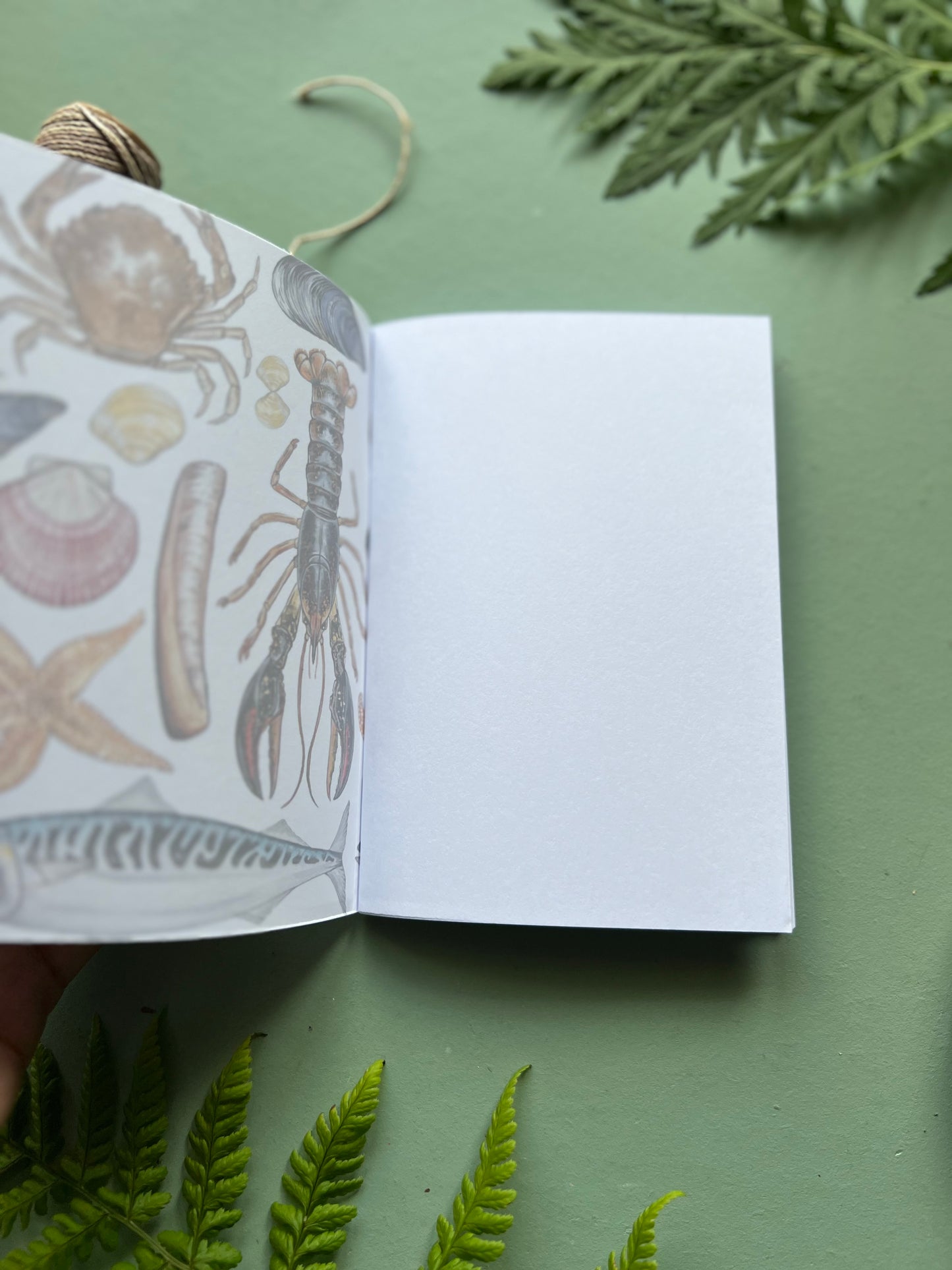 Marine Life Pocket Notebook