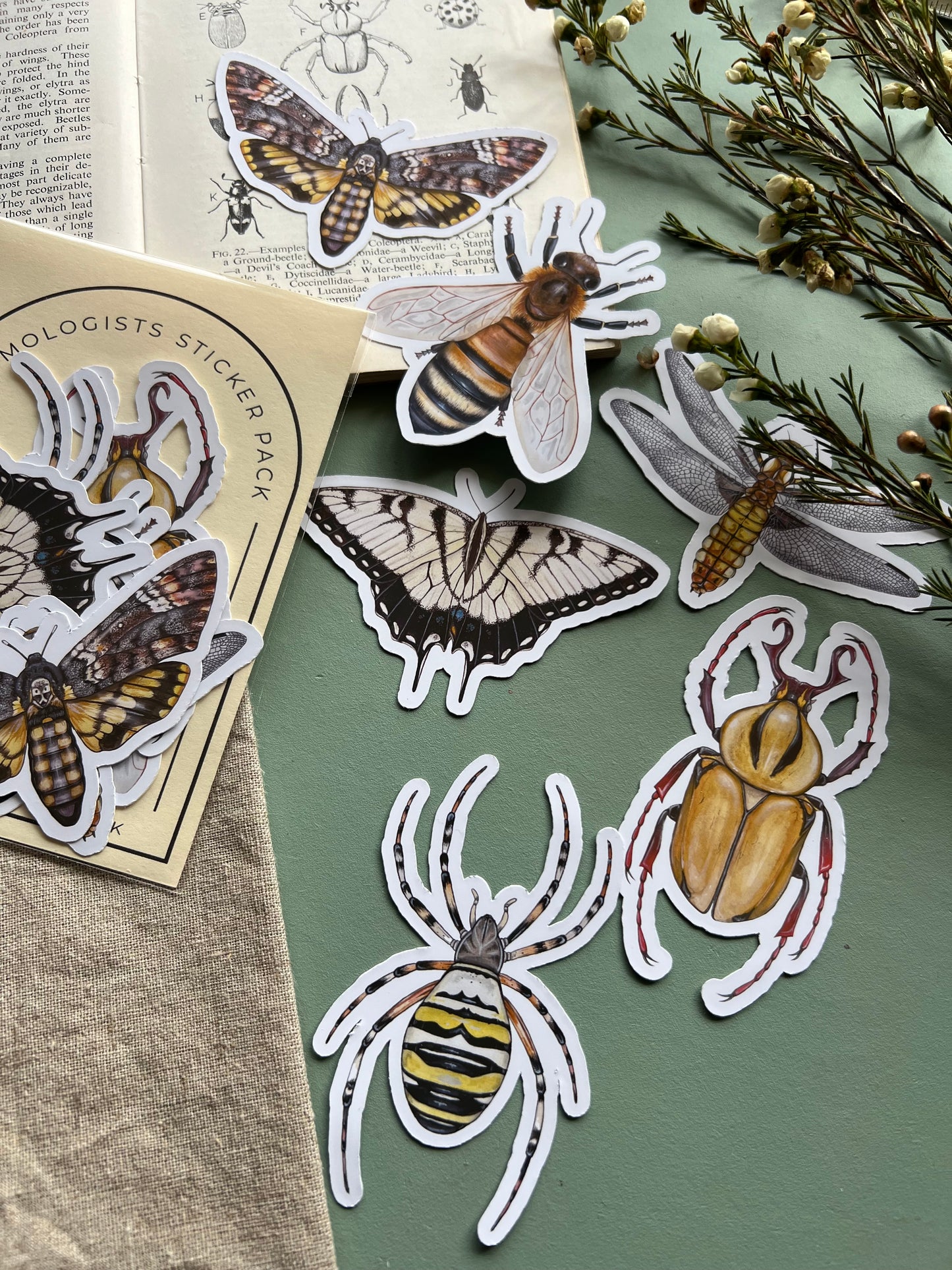 Entomology Sticker Set