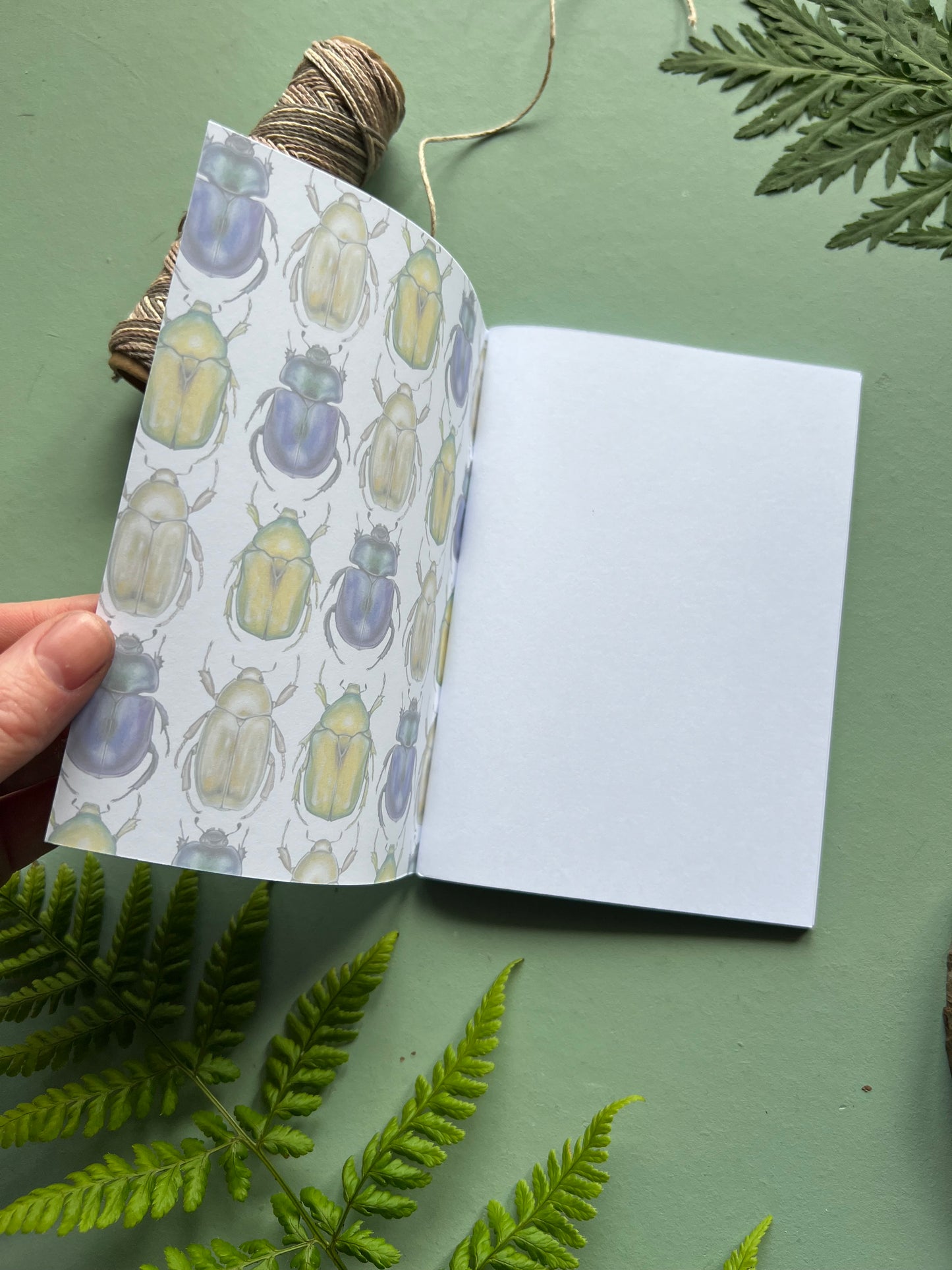 Beetle Pocket Notebook