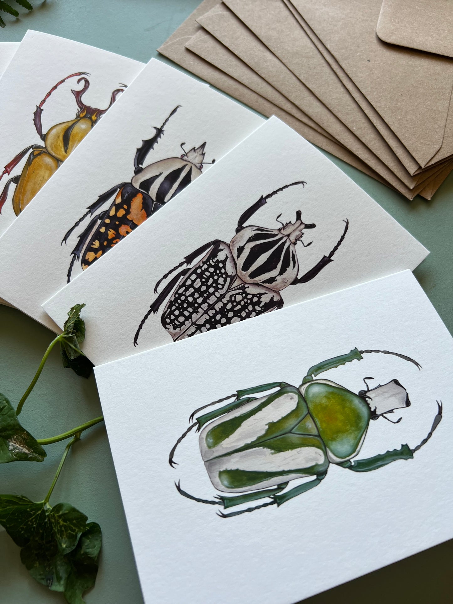 Beetles Set