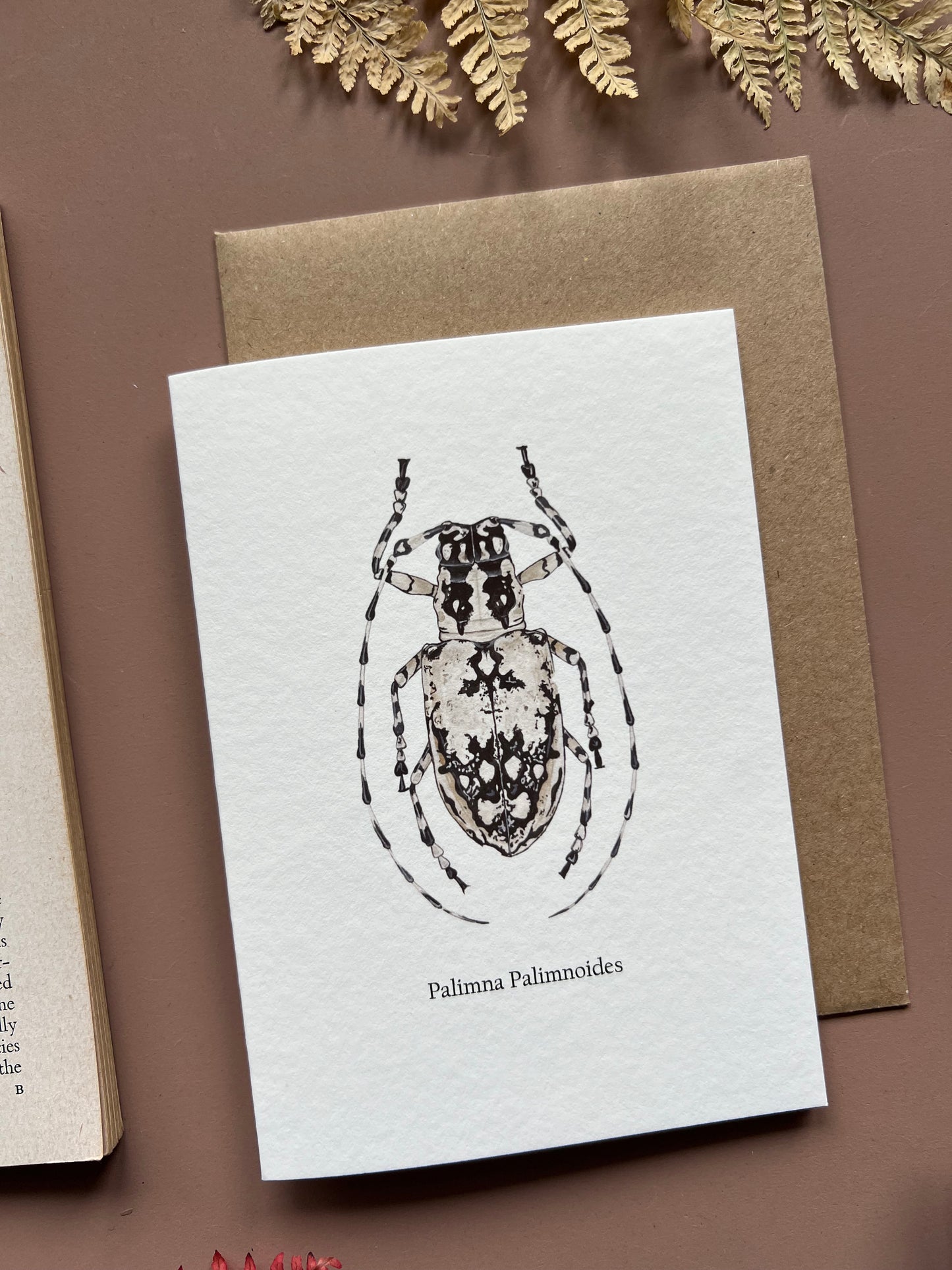 Longhorn Beetle card