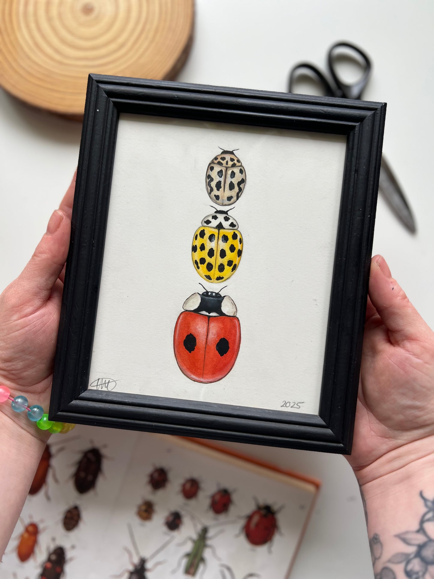 3 Ladybirds Framed Original